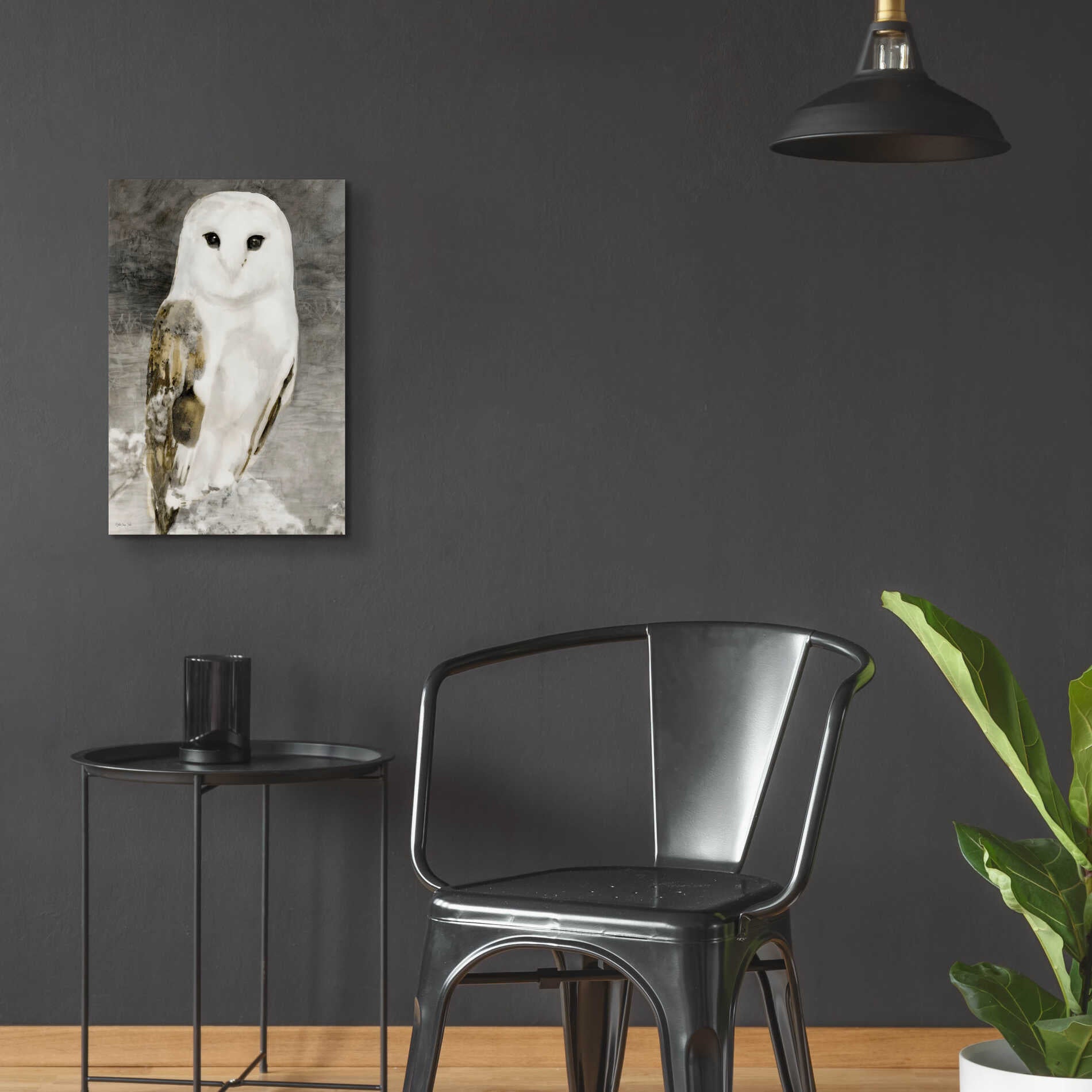 Epic Art 'Snowy Owl 1' by Stellar Design Studio, Acrylic Glass Wall Art,16x24