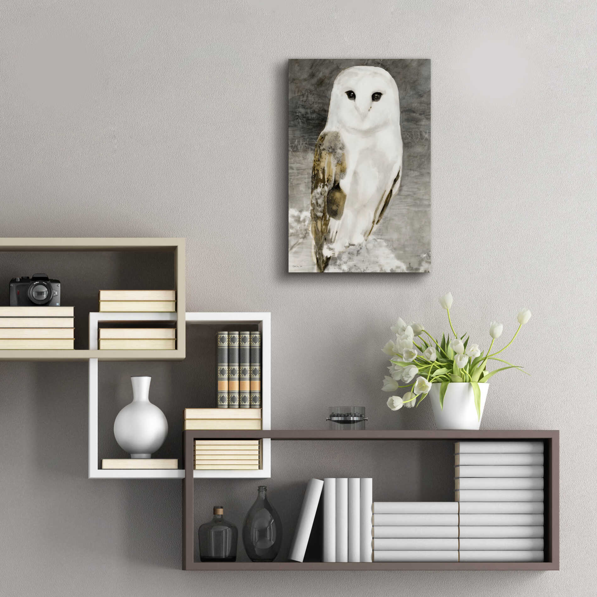 Epic Art 'Snowy Owl 1' by Stellar Design Studio, Acrylic Glass Wall Art,16x24