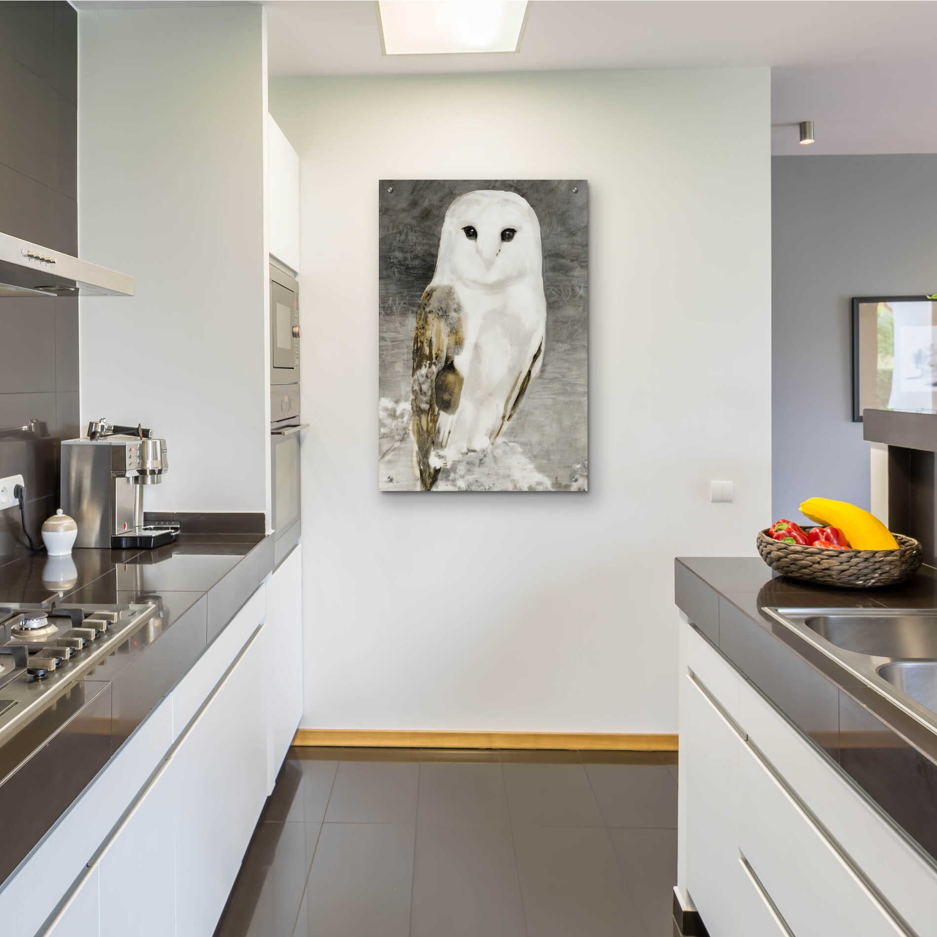 Epic Art 'Snowy Owl 1' by Stellar Design Studio, Acrylic Glass Wall Art,24x36