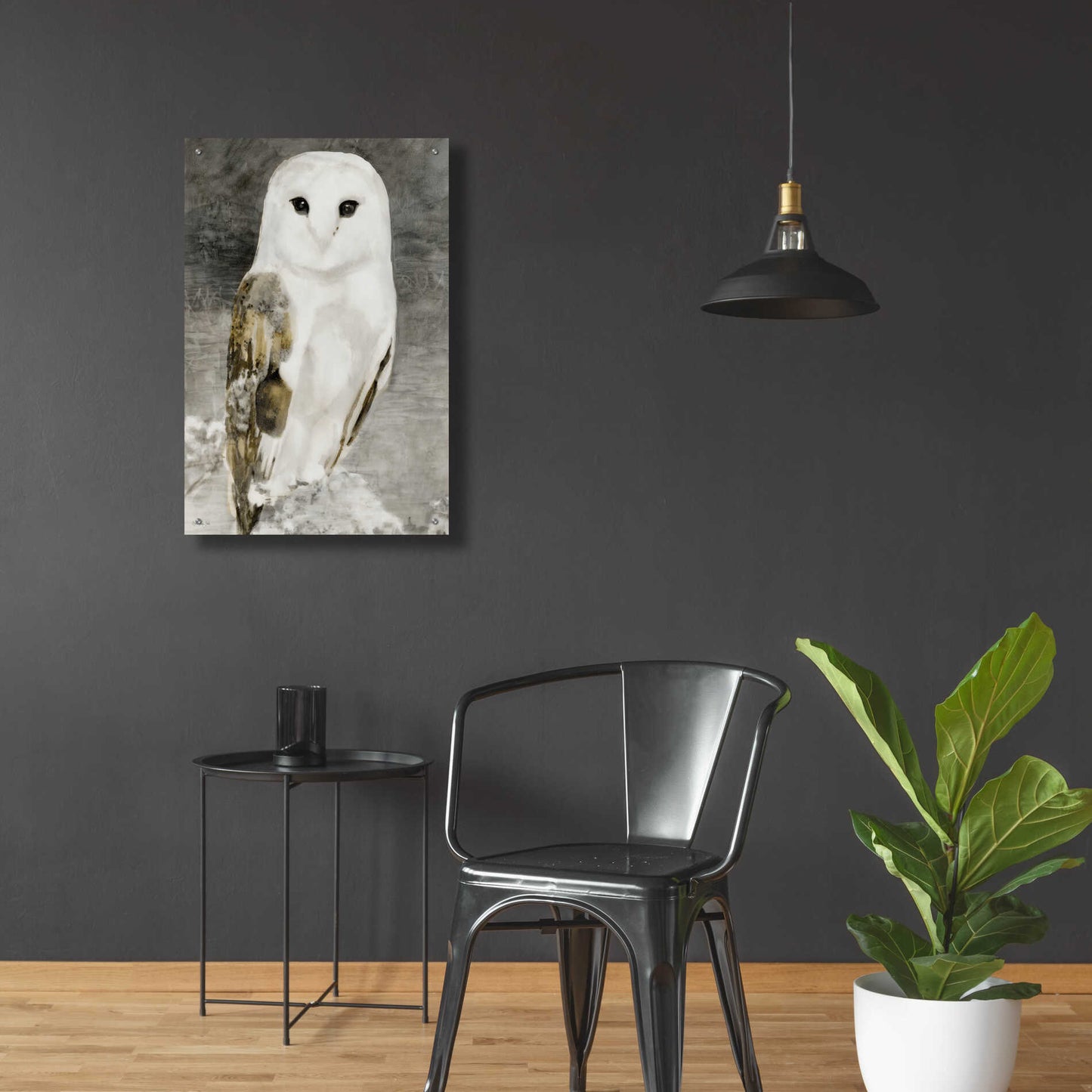 Epic Art 'Snowy Owl 1' by Stellar Design Studio, Acrylic Glass Wall Art,24x36