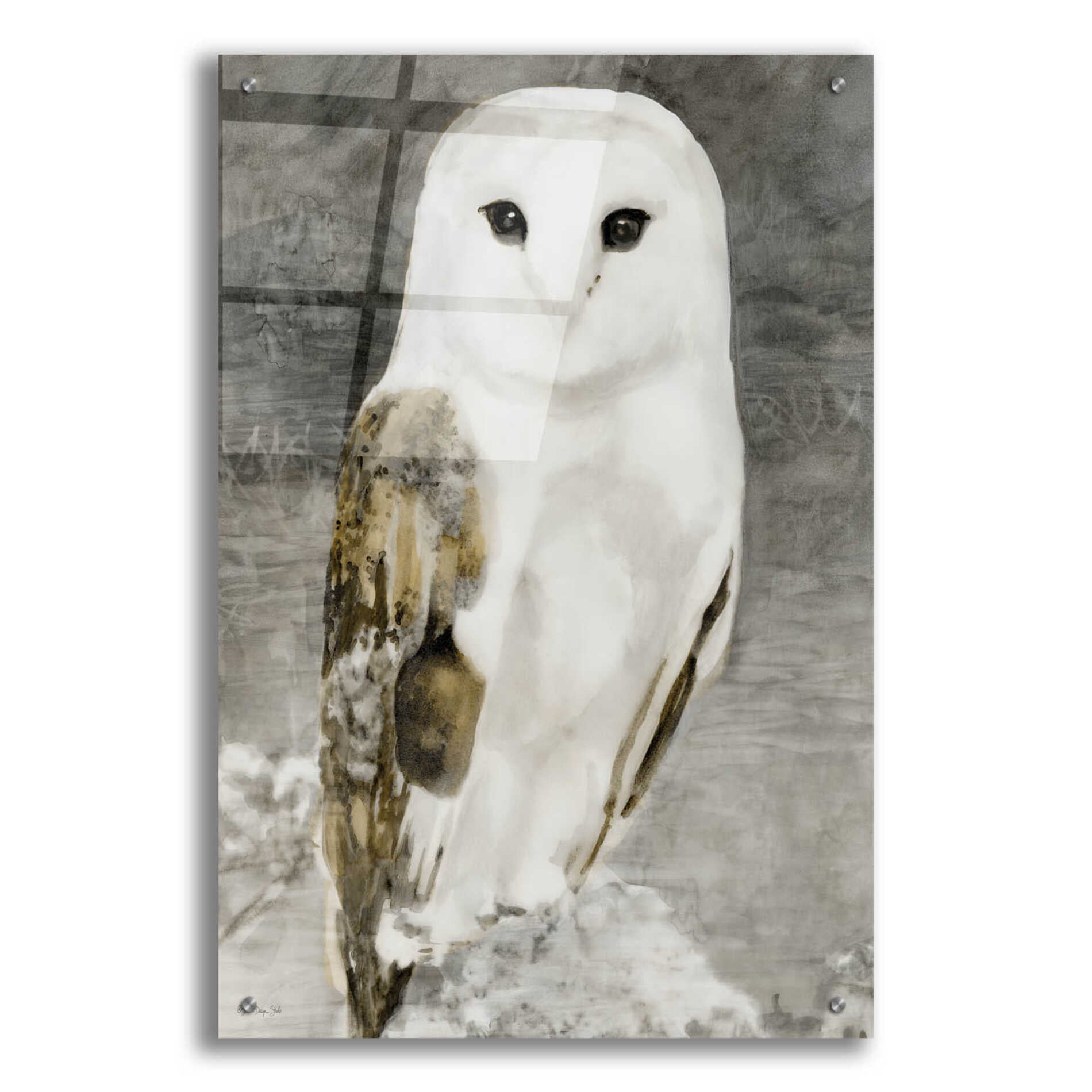 Epic Art 'Snowy Owl 1' by Stellar Design Studio, Acrylic Glass Wall Art,24x36