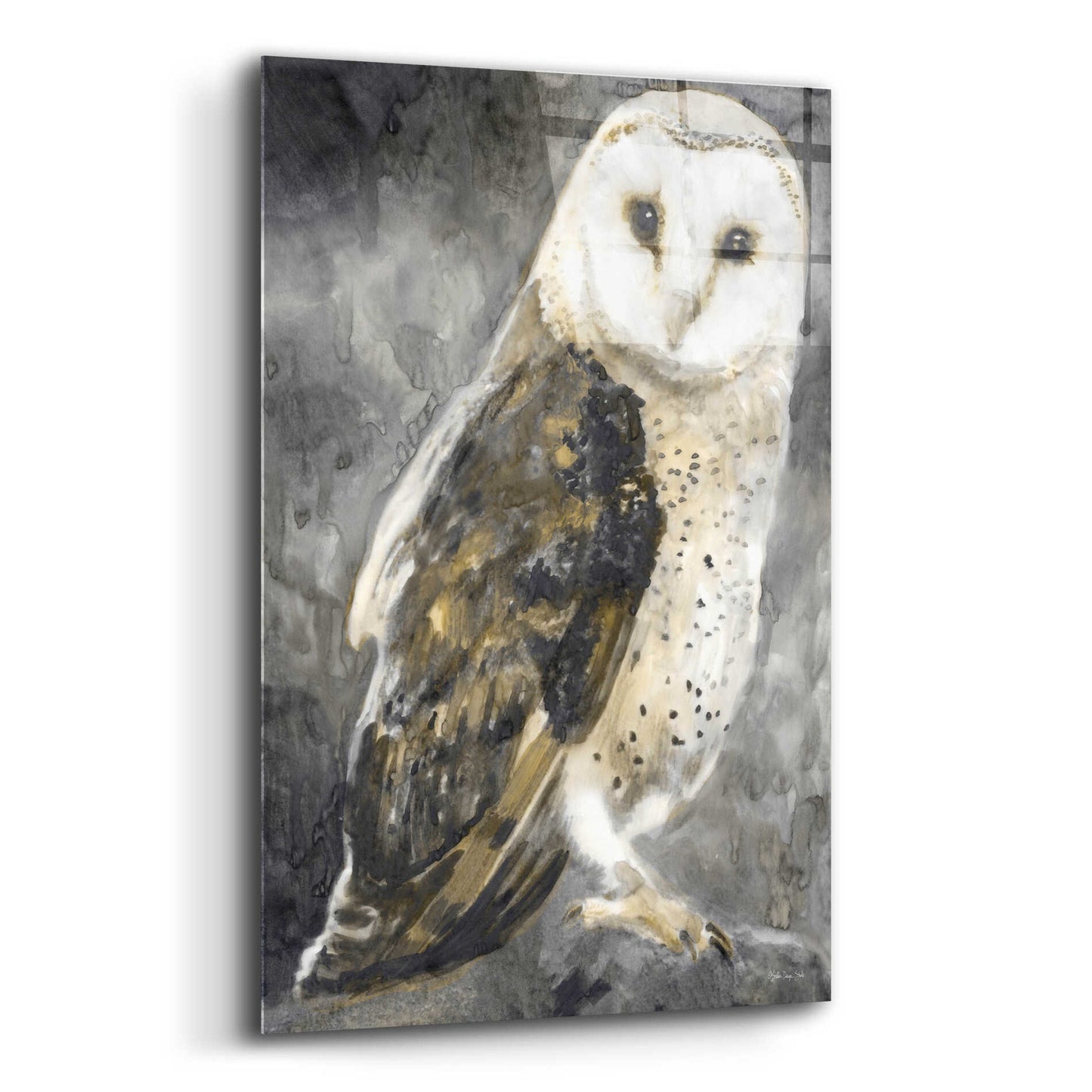 Epic Art 'Snowy Owl 2' by Stellar Design Studio, Acrylic Glass Wall Art,12x16