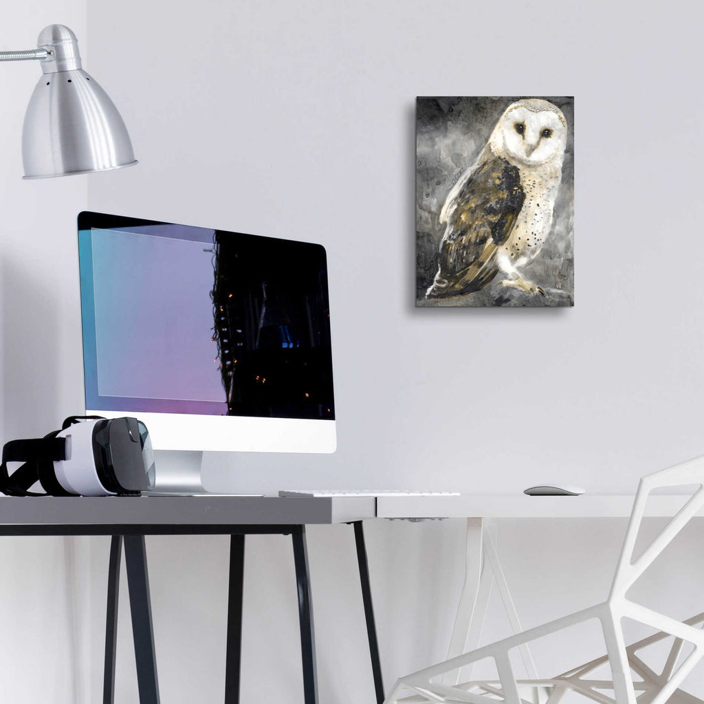 Epic Art 'Snowy Owl 2' by Stellar Design Studio, Acrylic Glass Wall Art,12x16