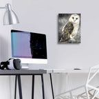 Epic Art 'Snowy Owl 2' by Stellar Design Studio, Acrylic Glass Wall Art,12x16