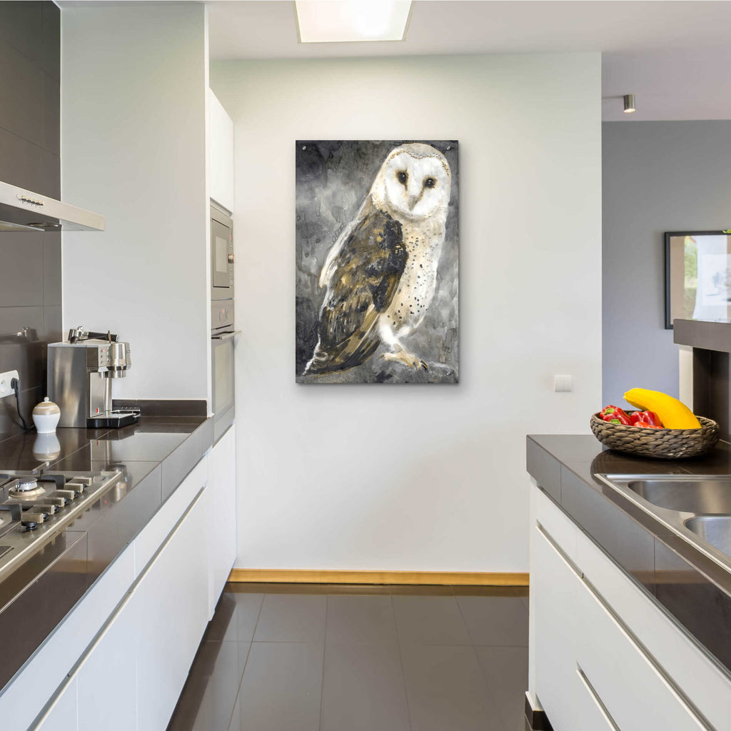 Epic Art 'Snowy Owl 2' by Stellar Design Studio, Acrylic Glass Wall Art,24x36