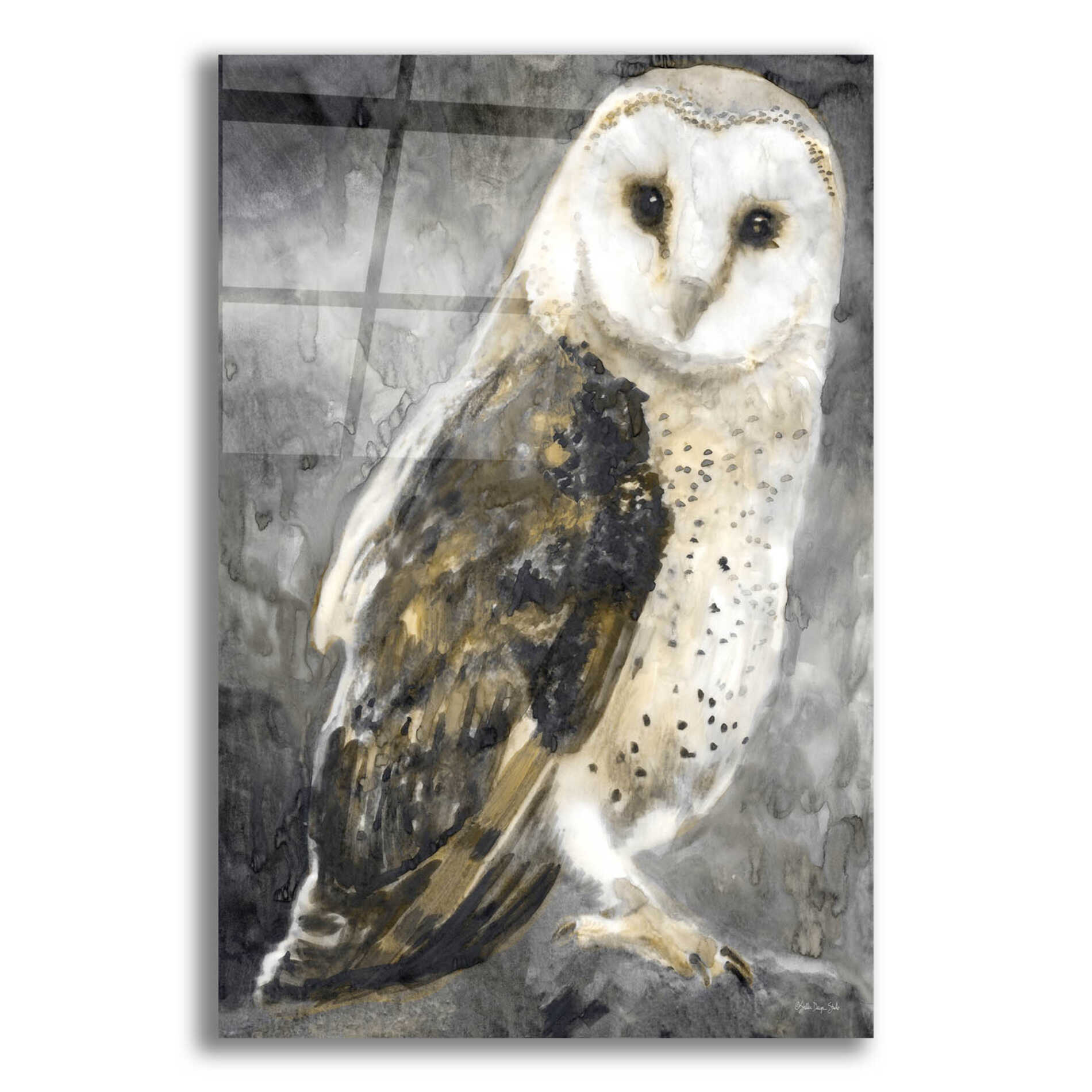 Epic Art 'Snowy Owl 2' by Stellar Design Studio, Acrylic Glass Wall Art