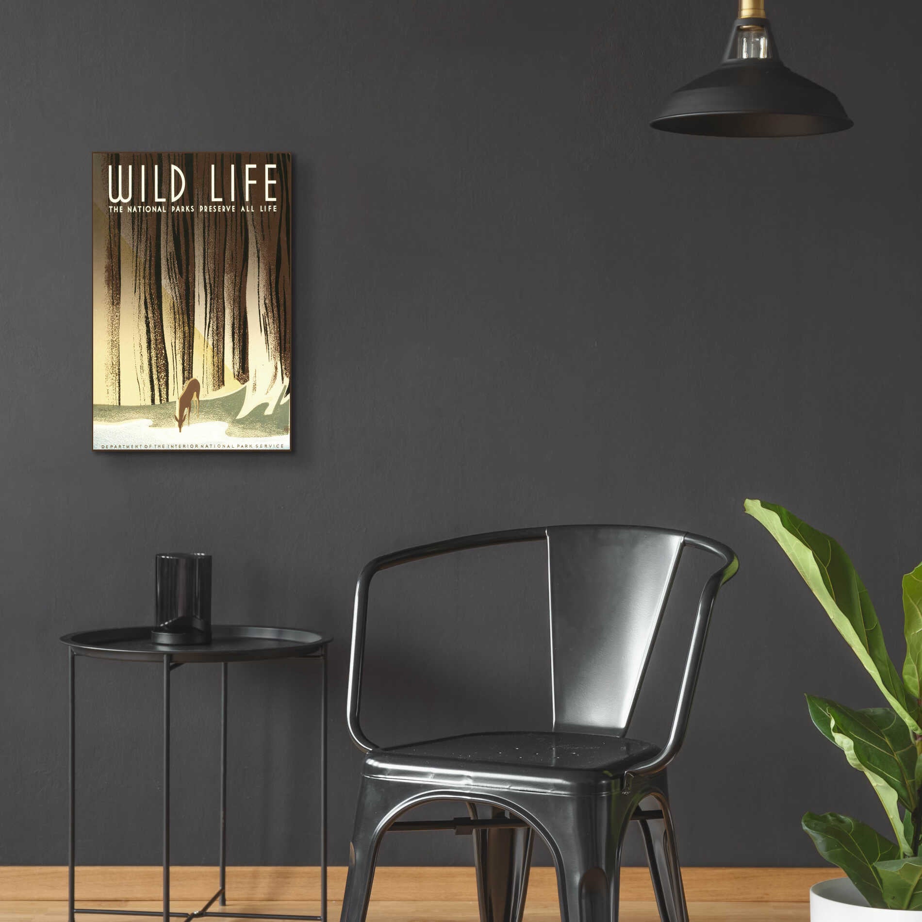 Epic Art 'Wild Life' by Stellar Design Studio, Acrylic Glass Wall Art,16x24
