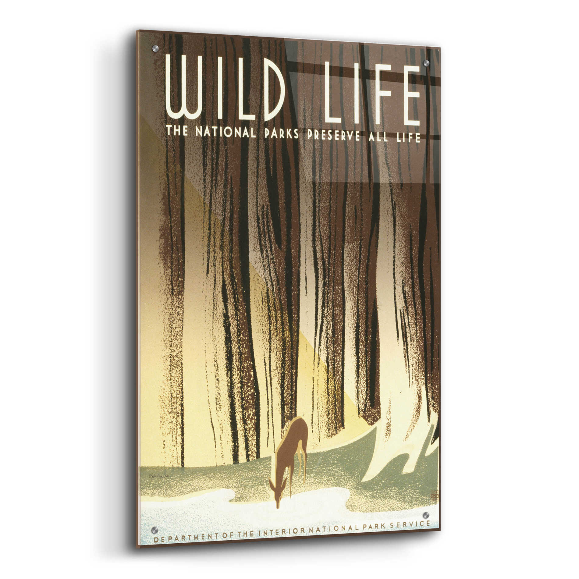 Epic Art 'Wild Life' by Stellar Design Studio, Acrylic Glass Wall Art,24x36
