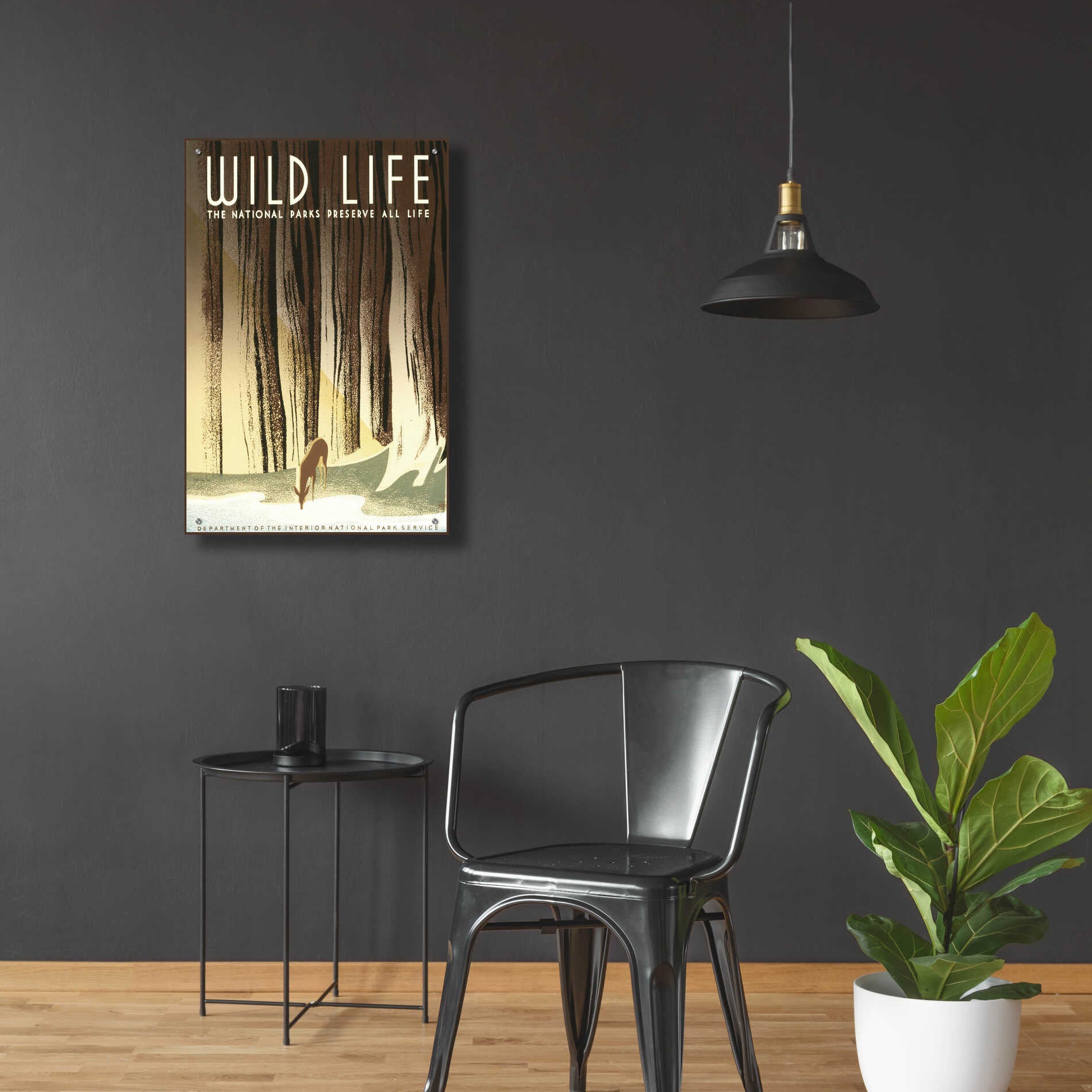 Epic Art 'Wild Life' by Stellar Design Studio, Acrylic Glass Wall Art,24x36