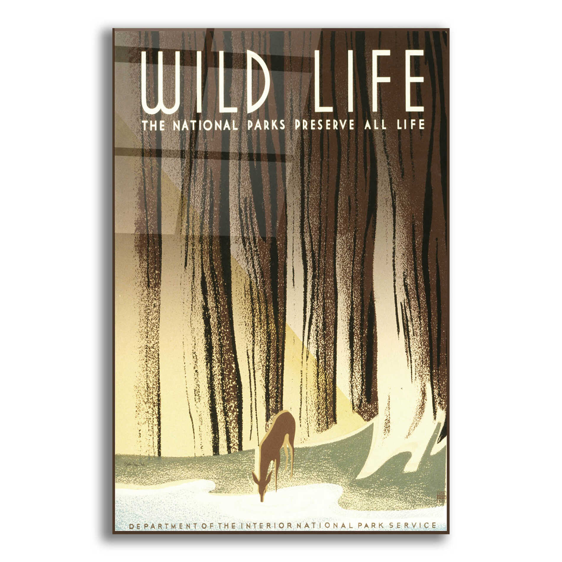 Epic Art 'Wild Life' by Stellar Design Studio, Acrylic Glass Wall Art