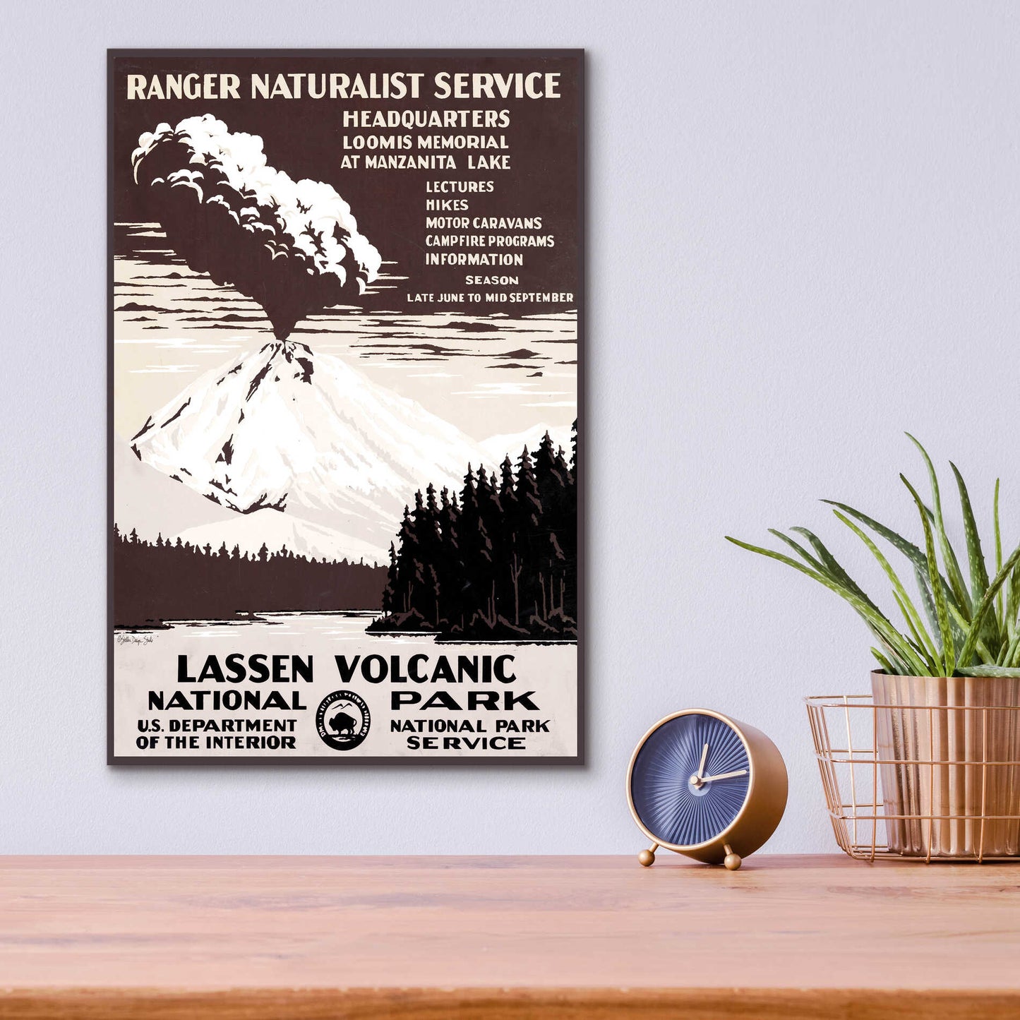 Epic Art 'Lessen Volcanic Park' by Stellar Design Studio, Acrylic Glass Wall Art,12x16