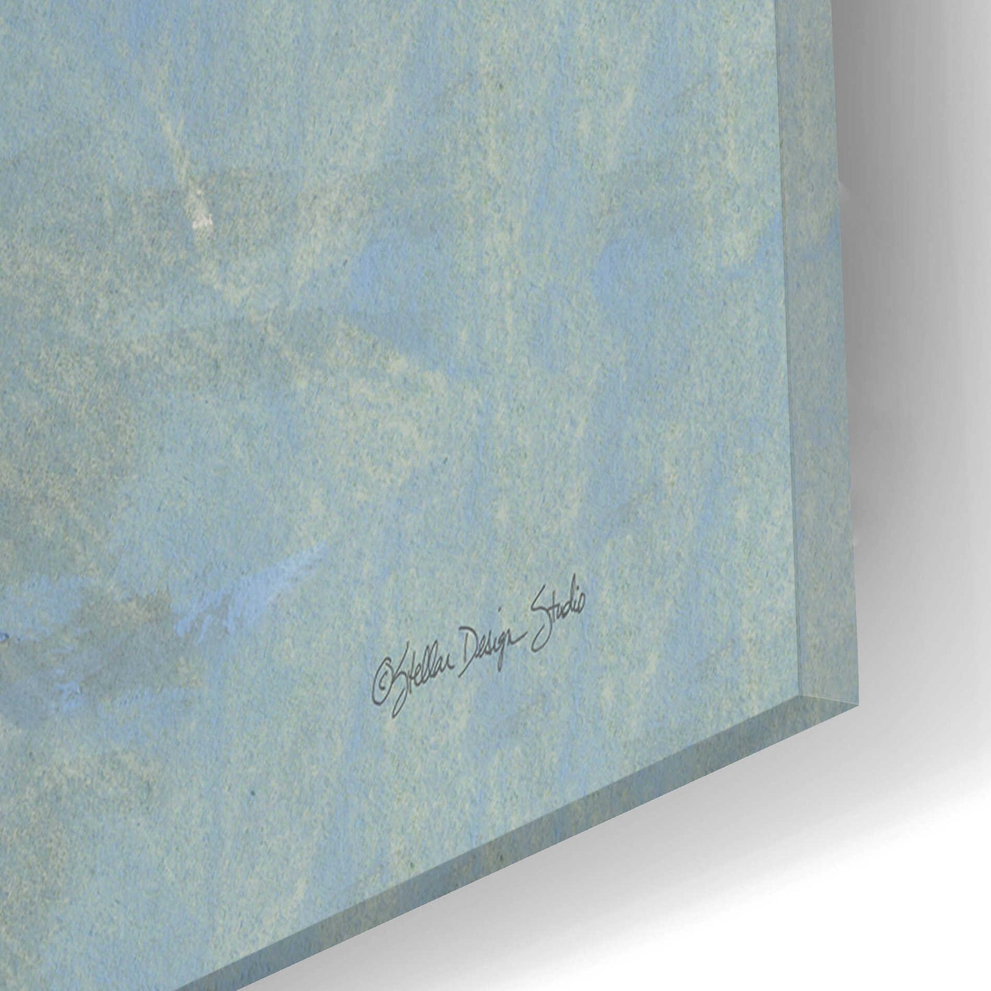 Epic Art 'Sea Bird 1' by Stellar Design Studio, Acrylic Glass Wall Art,12x16