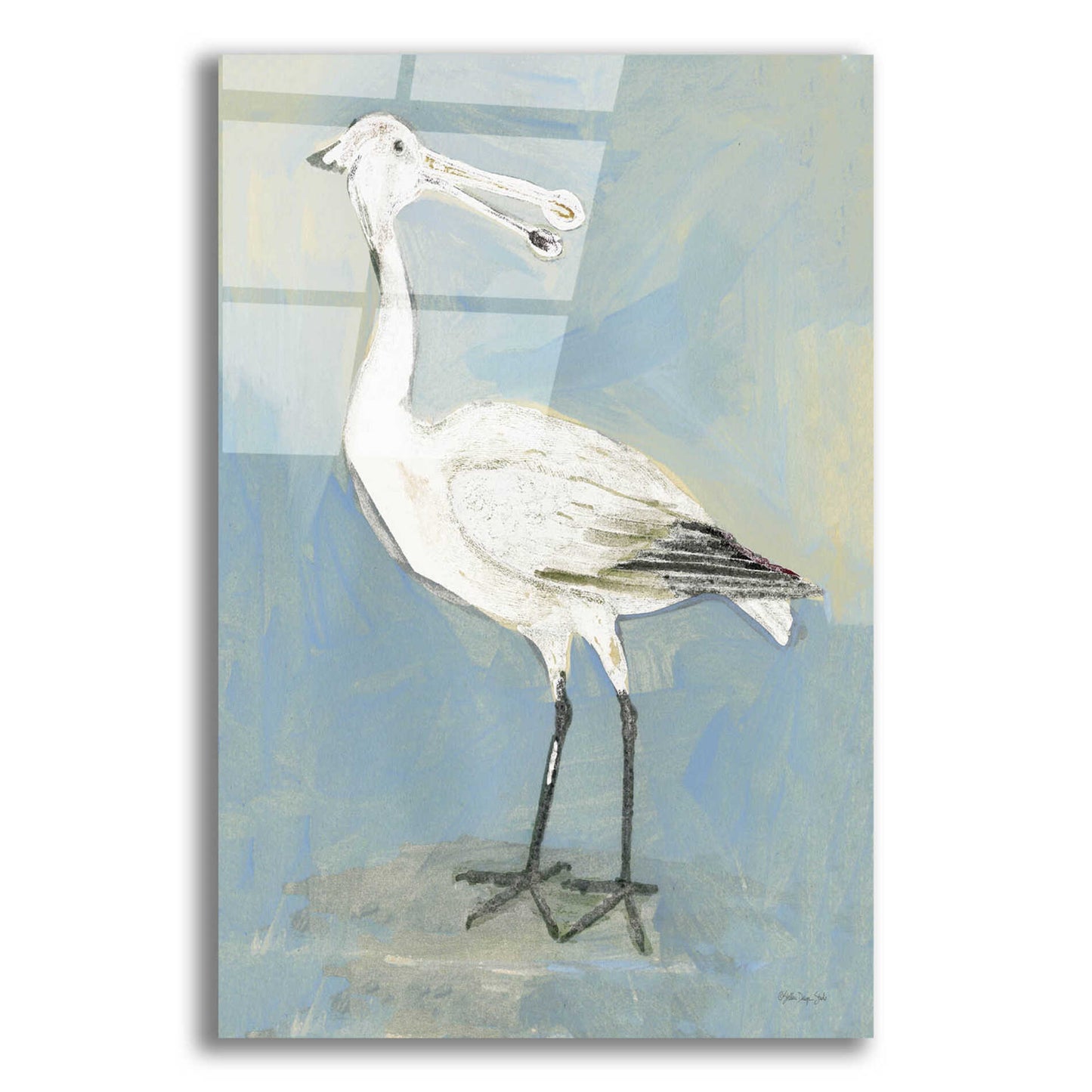 Epic Art 'Sea Bird 1' by Stellar Design Studio, Acrylic Glass Wall Art,16x24