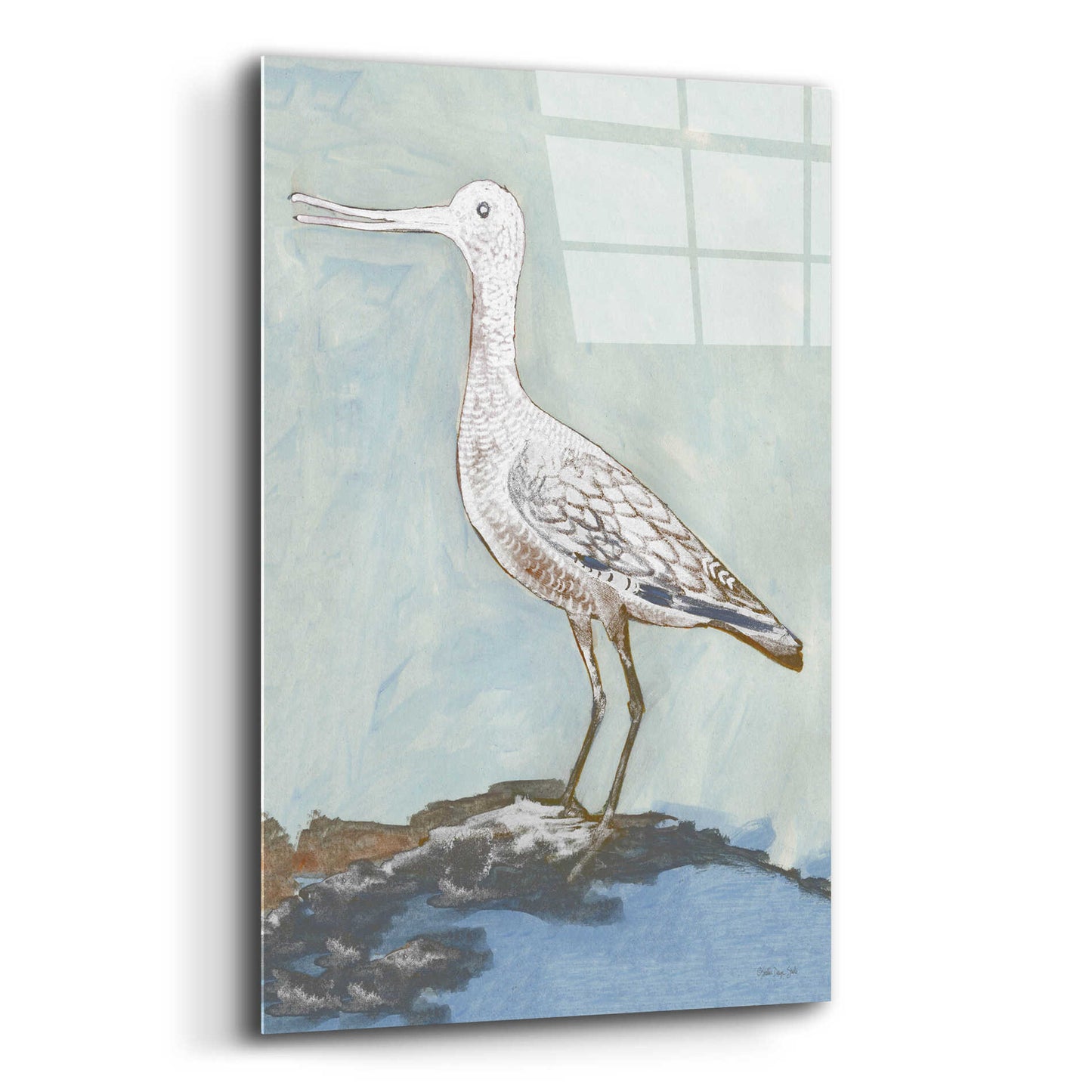 Epic Art 'Sea Bird 2' by Stellar Design Studio, Acrylic Glass Wall Art,12x16