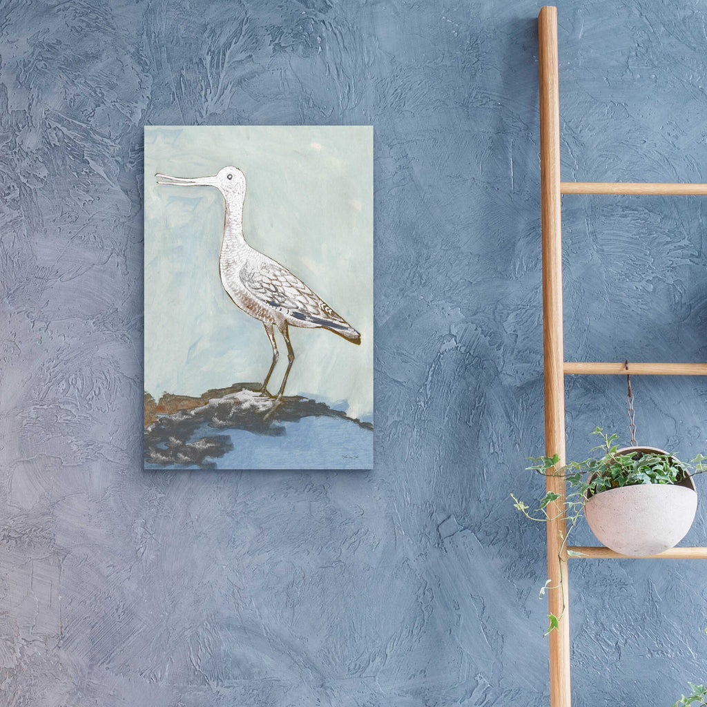 Epic Art 'Sea Bird 2' by Stellar Design Studio, Acrylic Glass Wall Art,16x24