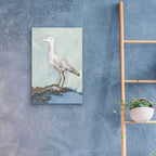 Epic Art 'Sea Bird 2' by Stellar Design Studio, Acrylic Glass Wall Art,16x24