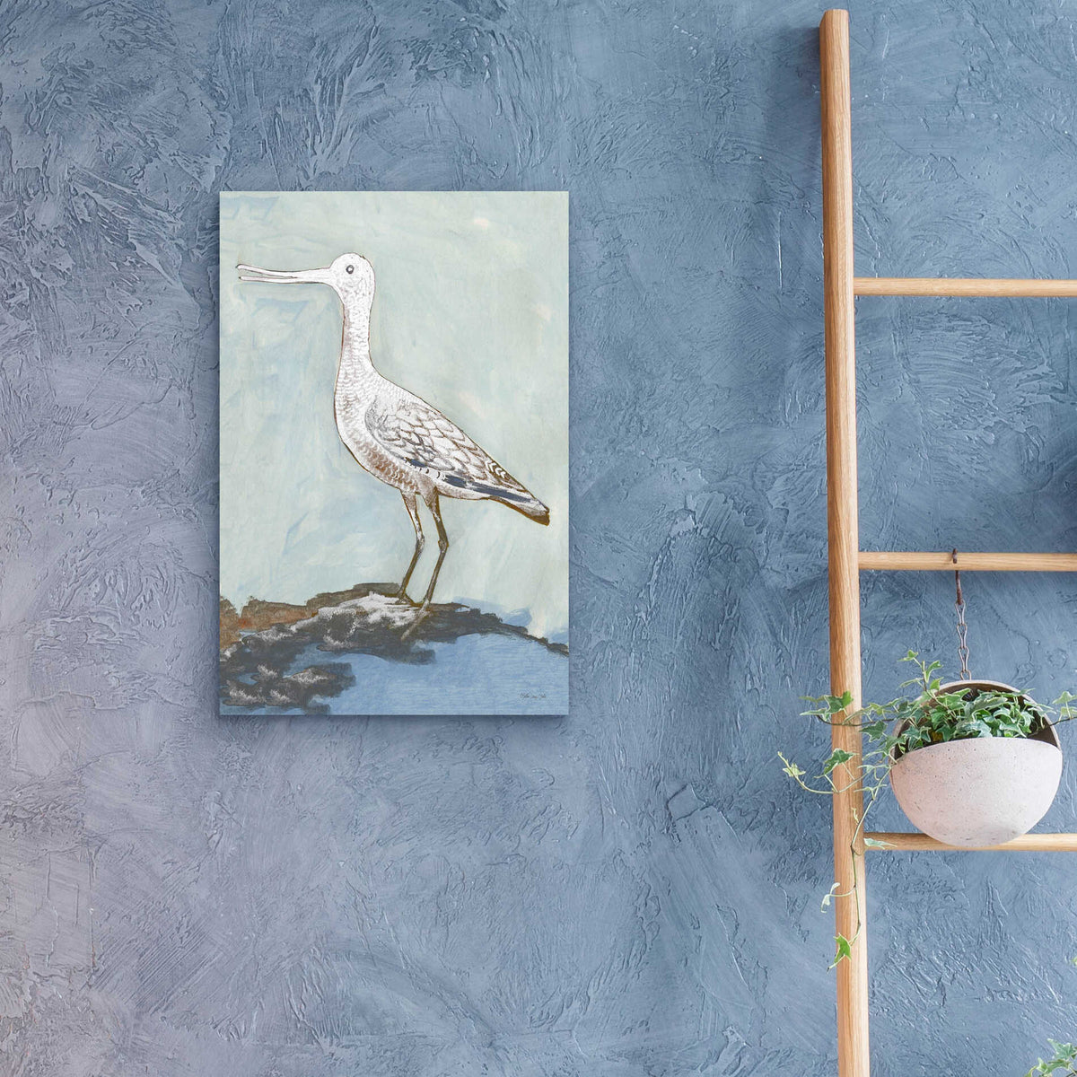 Epic Art 'Sea Bird 2' by Stellar Design Studio, Acrylic Glass Wall Art,16x24