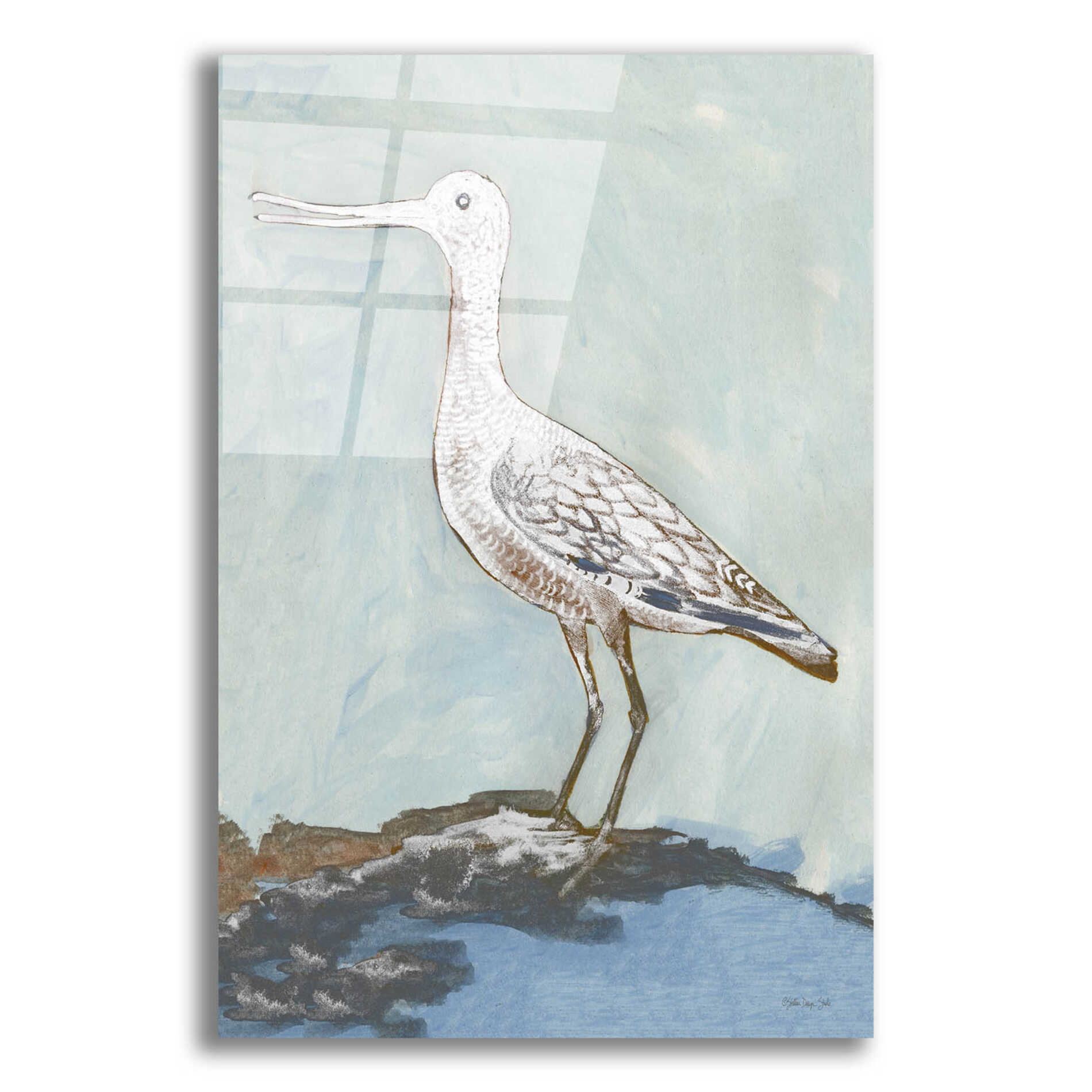 Epic Art 'Sea Bird 2' by Stellar Design Studio, Acrylic Glass Wall Art,16x24