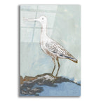 Epic Art 'Sea Bird 2' by Stellar Design Studio, Acrylic Glass Wall Art