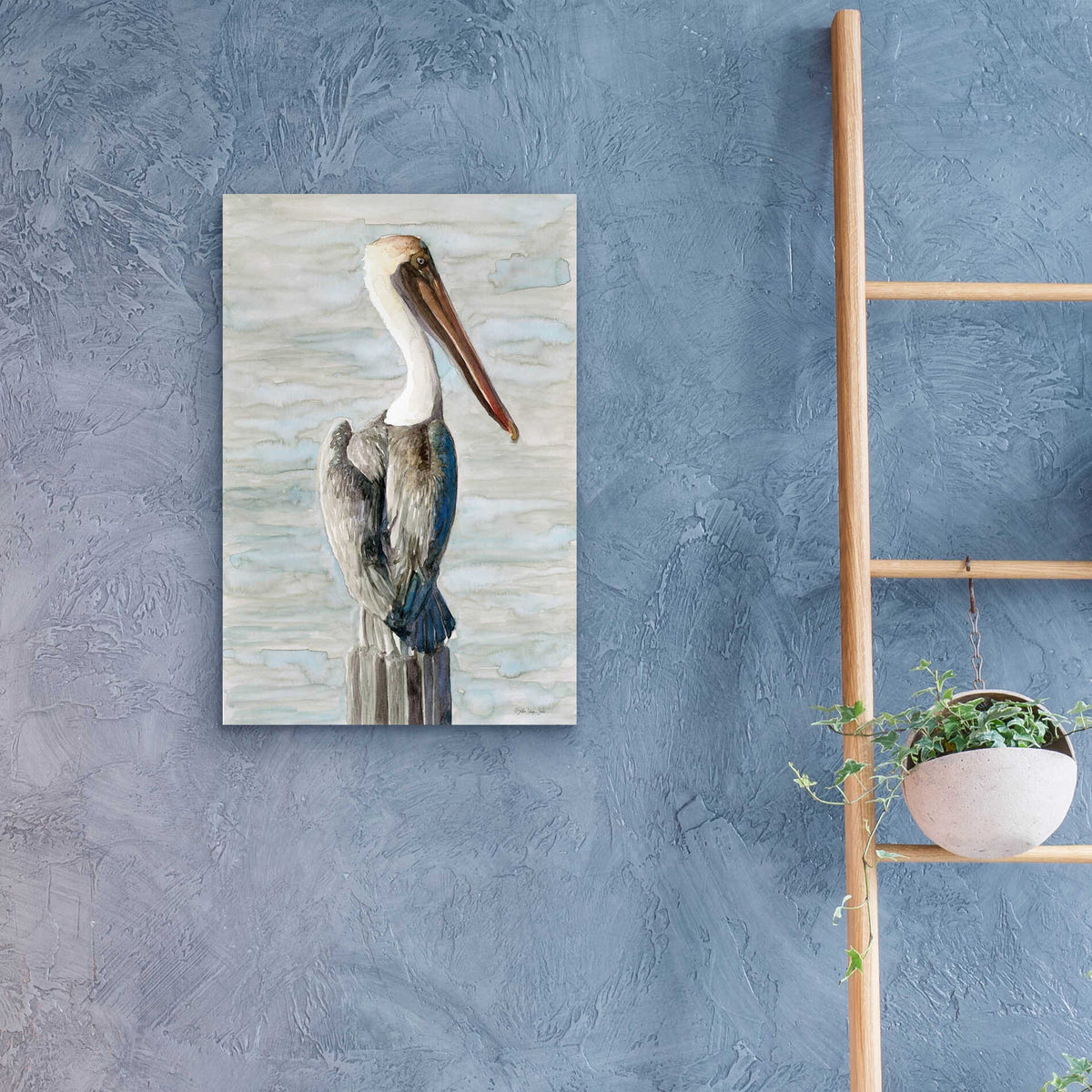 Epic Art 'Brown Pelican 1' by Stellar Design Studio, Acrylic Glass Wall Art,16x24