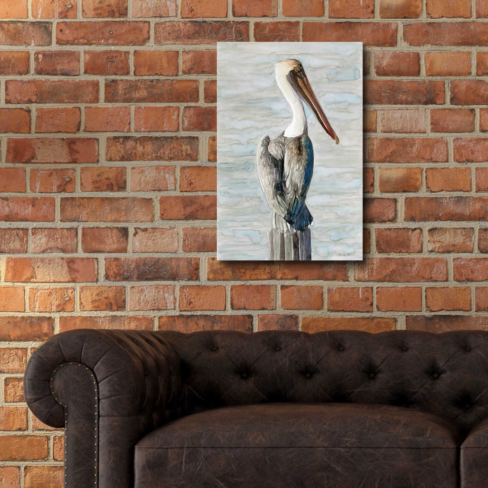Epic Art 'Brown Pelican 1' by Stellar Design Studio, Acrylic Glass Wall Art,16x24