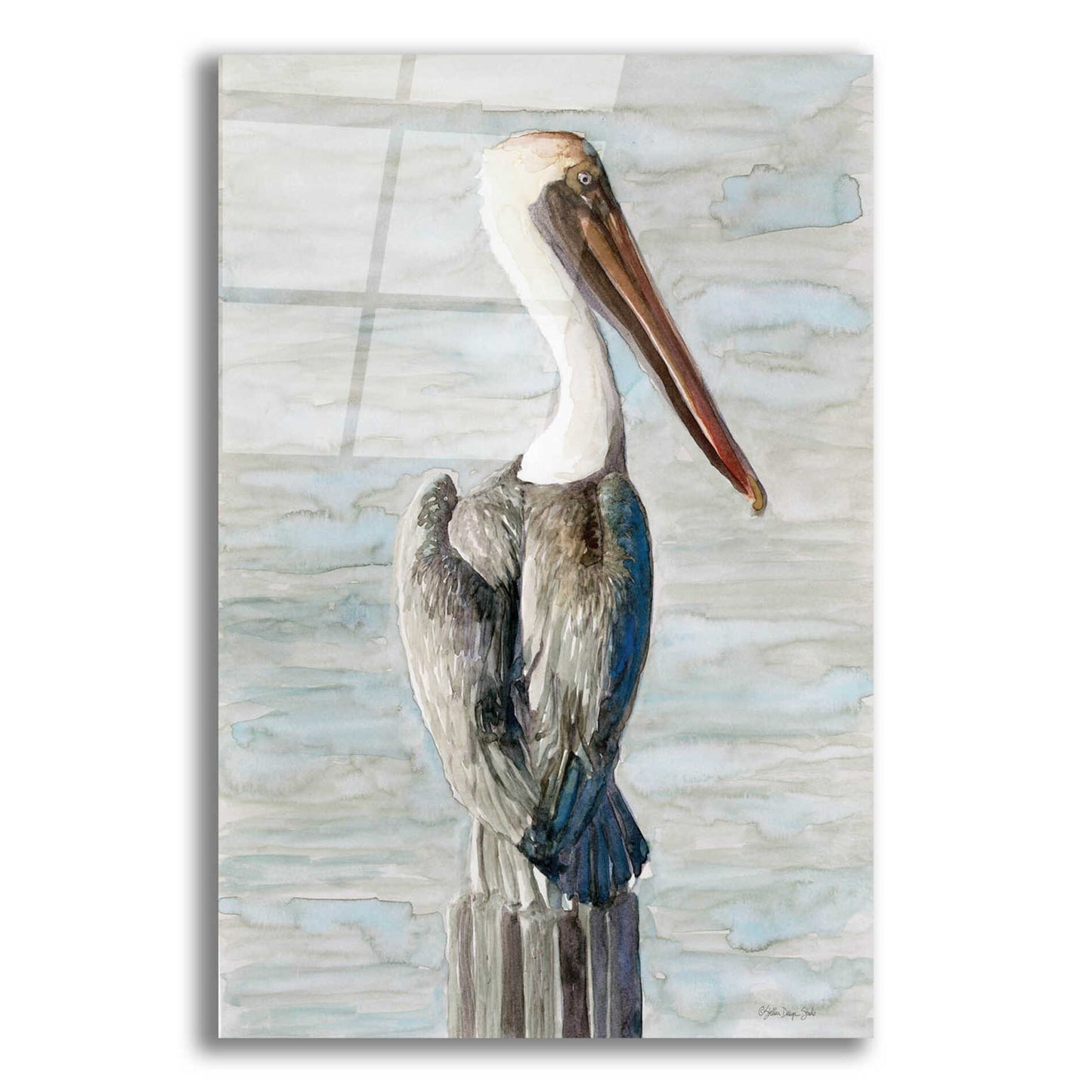 Epic Art 'Brown Pelican 1' by Stellar Design Studio, Acrylic Glass Wall Art