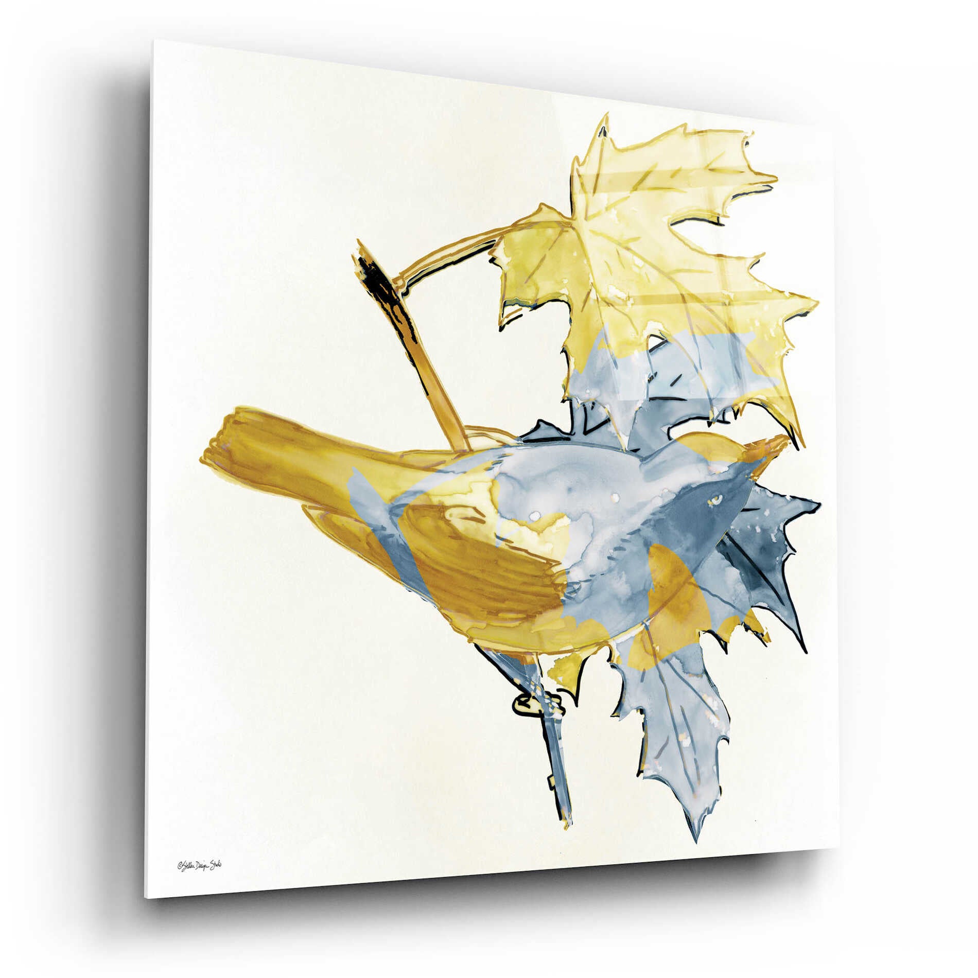 Epic Art 'Blue and Gold Bird' by Stellar Design Studio, Acrylic Glass Wall Art,12x12