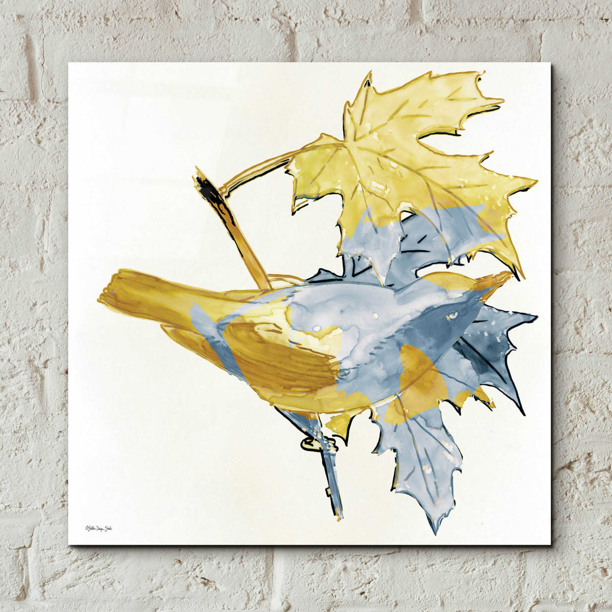Epic Art 'Blue and Gold Bird' by Stellar Design Studio, Acrylic Glass Wall Art,12x12
