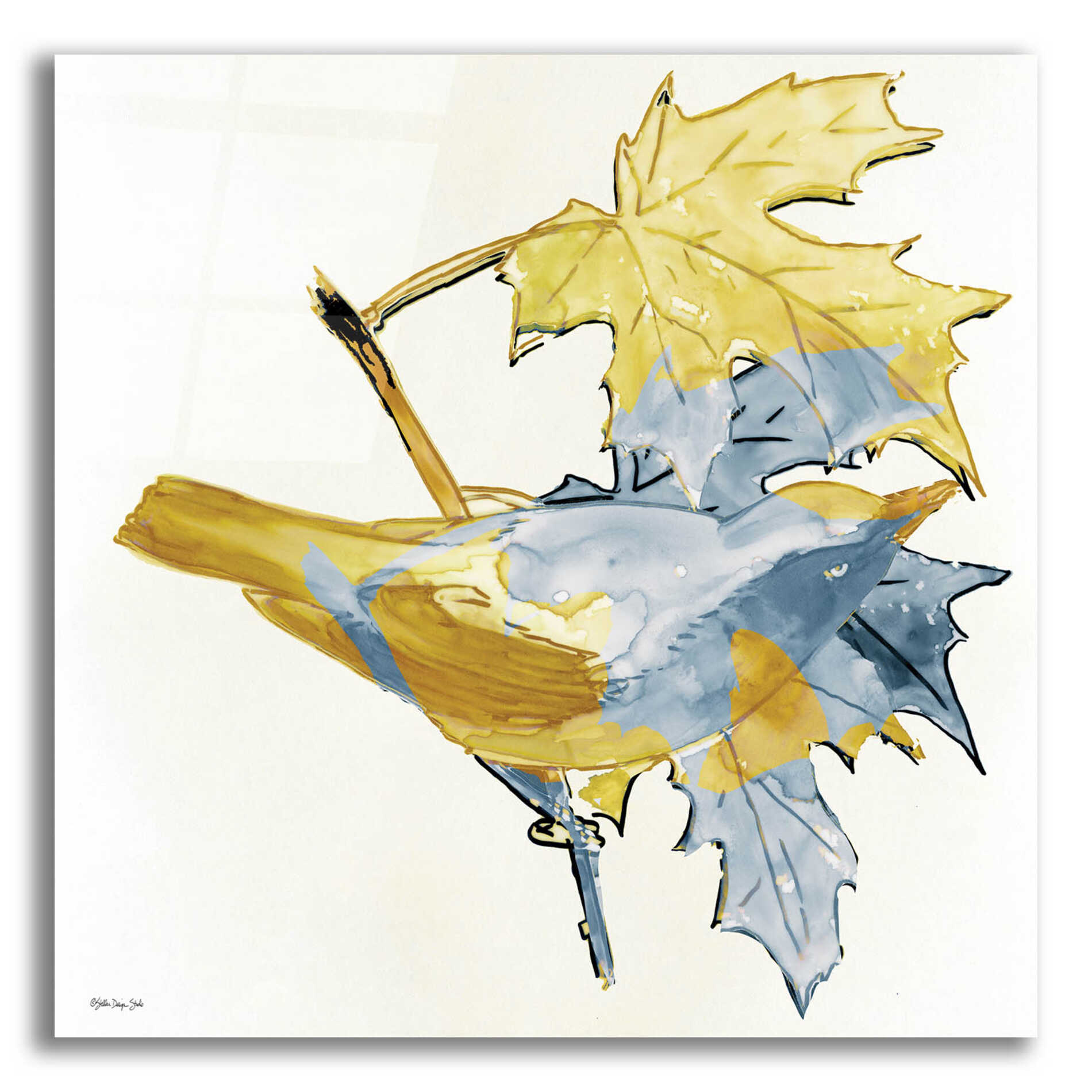 Epic Art 'Blue and Gold Bird' by Stellar Design Studio, Acrylic Glass Wall Art