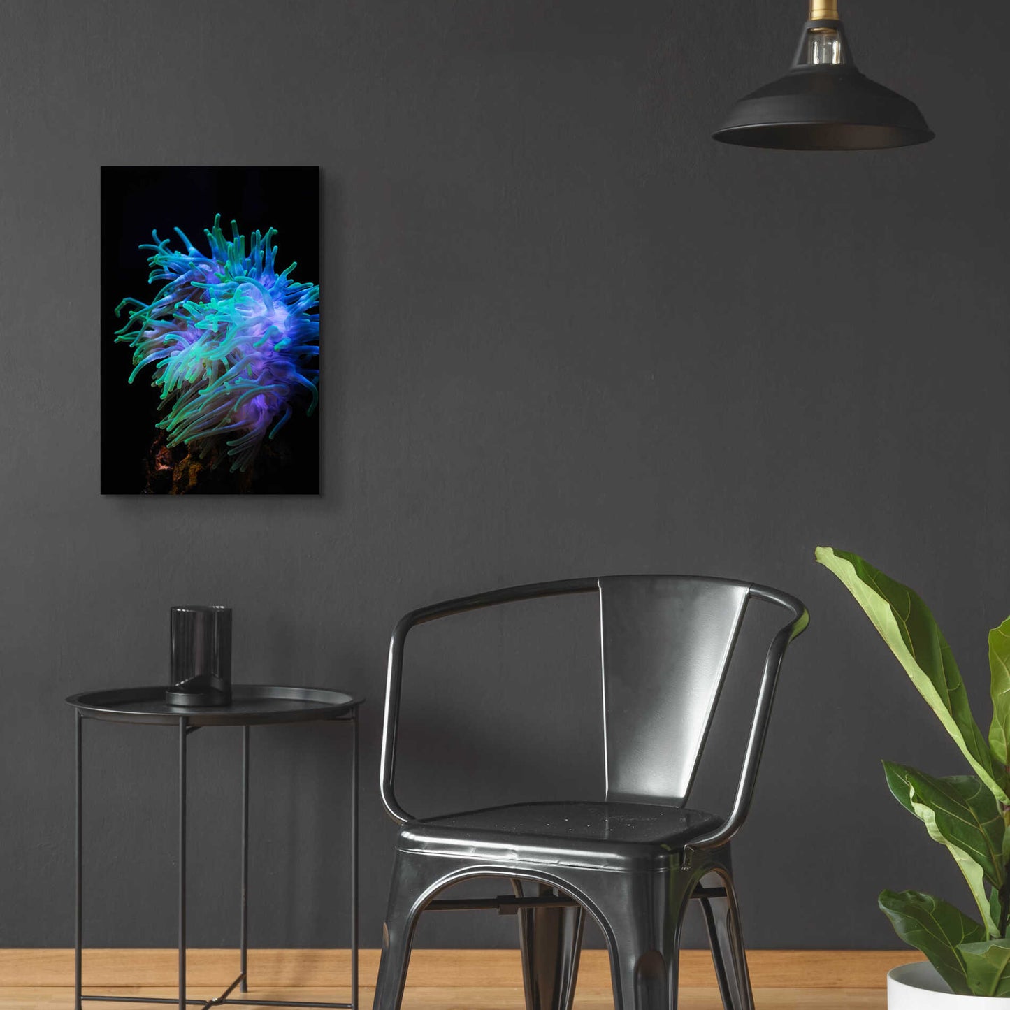 Epic Art 'Actinia' by Epic Portfolio Acrylic Glass Wall Art,16x24