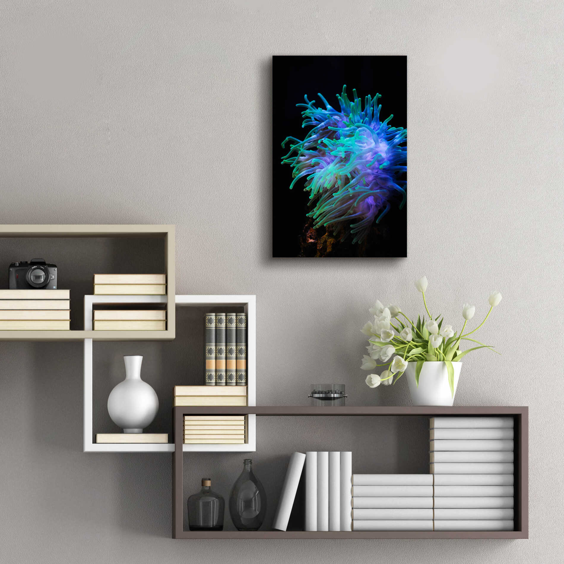 Epic Art 'Actinia' by Epic Portfolio Acrylic Glass Wall Art,16x24