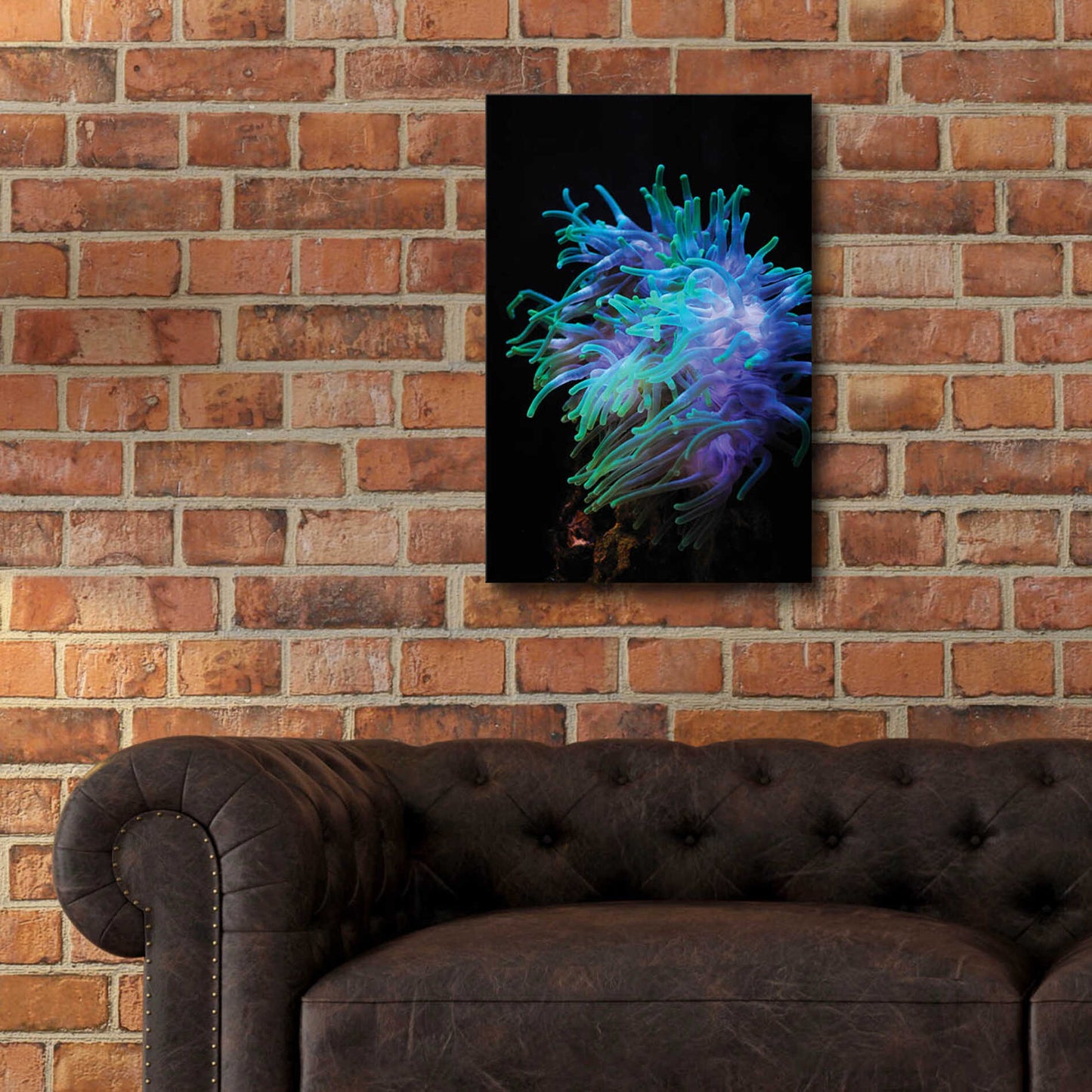 Epic Art 'Actinia' by Epic Portfolio Acrylic Glass Wall Art,16x24