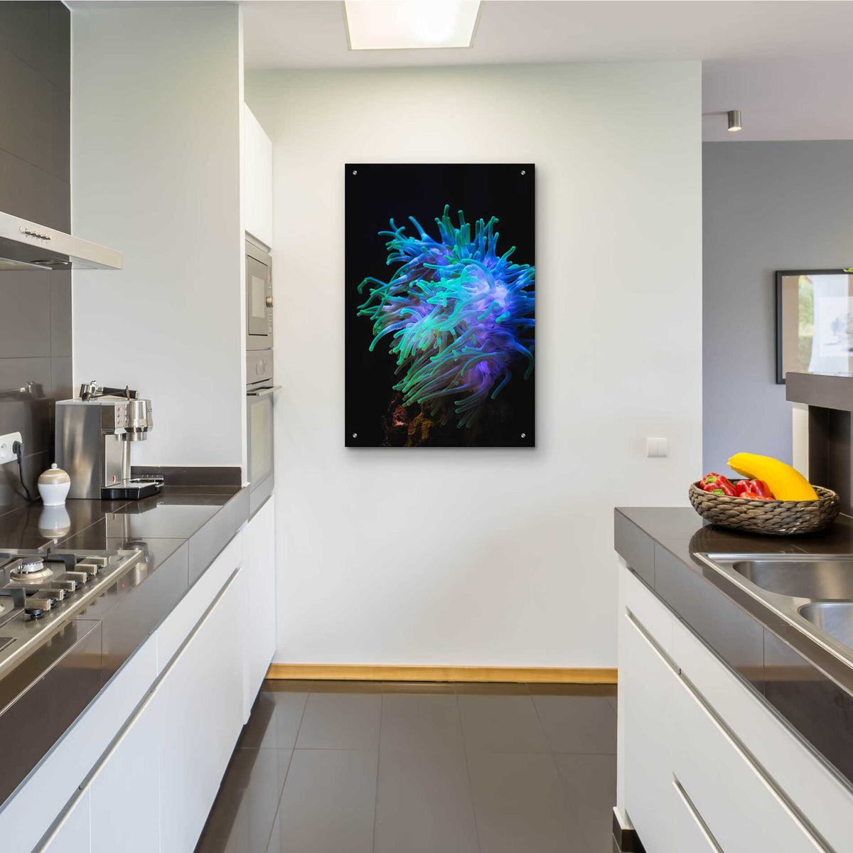 Epic Art 'Actinia' by Epic Portfolio Acrylic Glass Wall Art,24x36