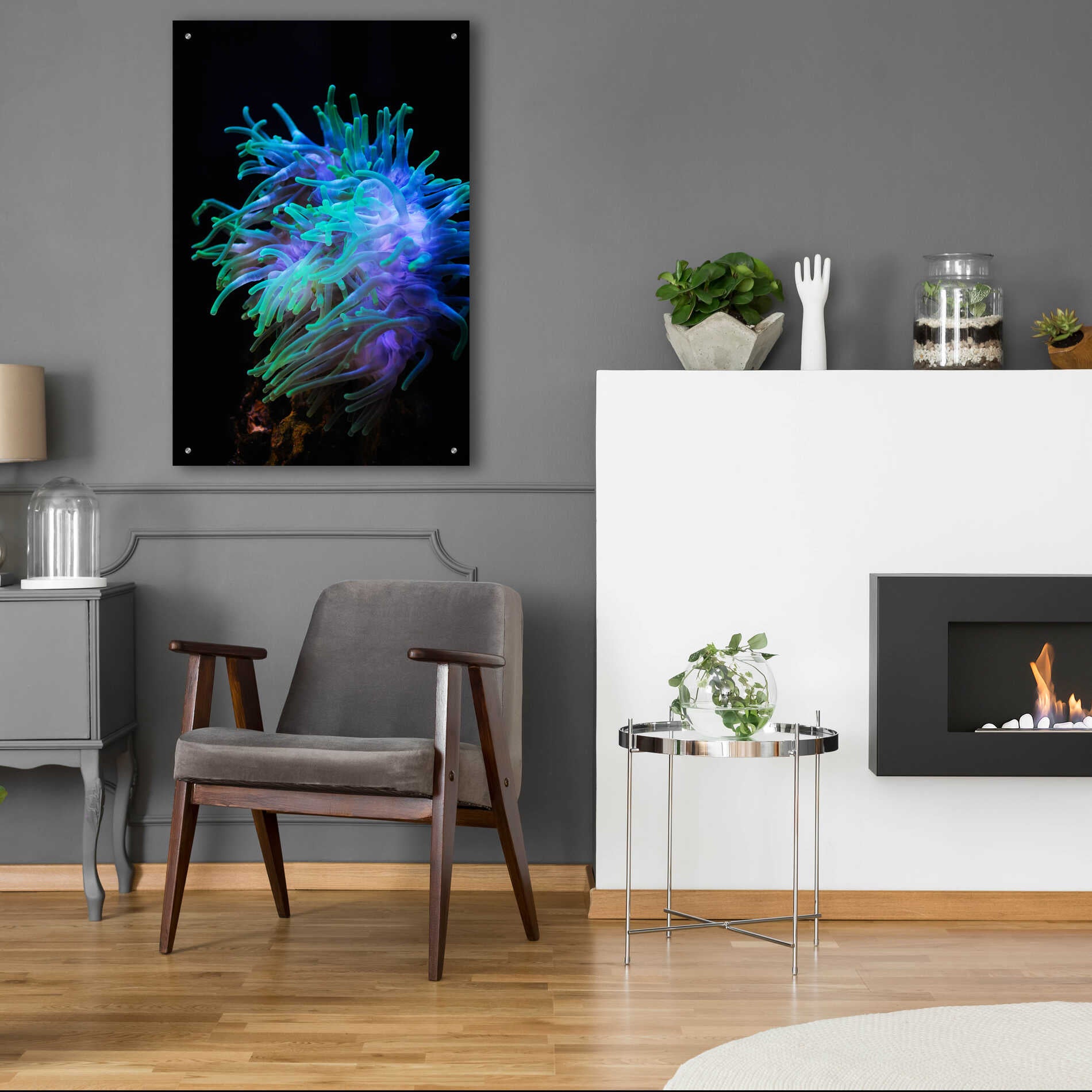 Epic Art 'Actinia' by Epic Portfolio Acrylic Glass Wall Art,24x36