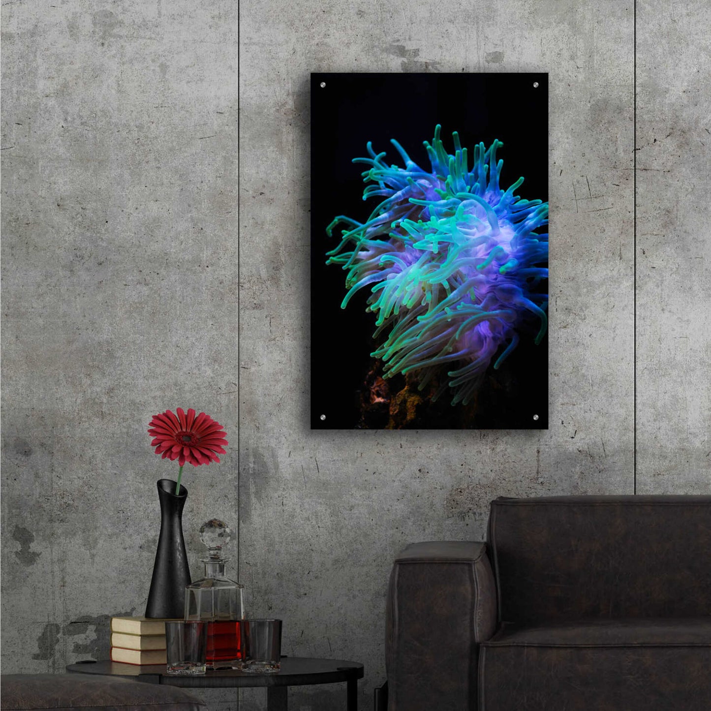 Epic Art 'Actinia' by Epic Portfolio Acrylic Glass Wall Art,24x36