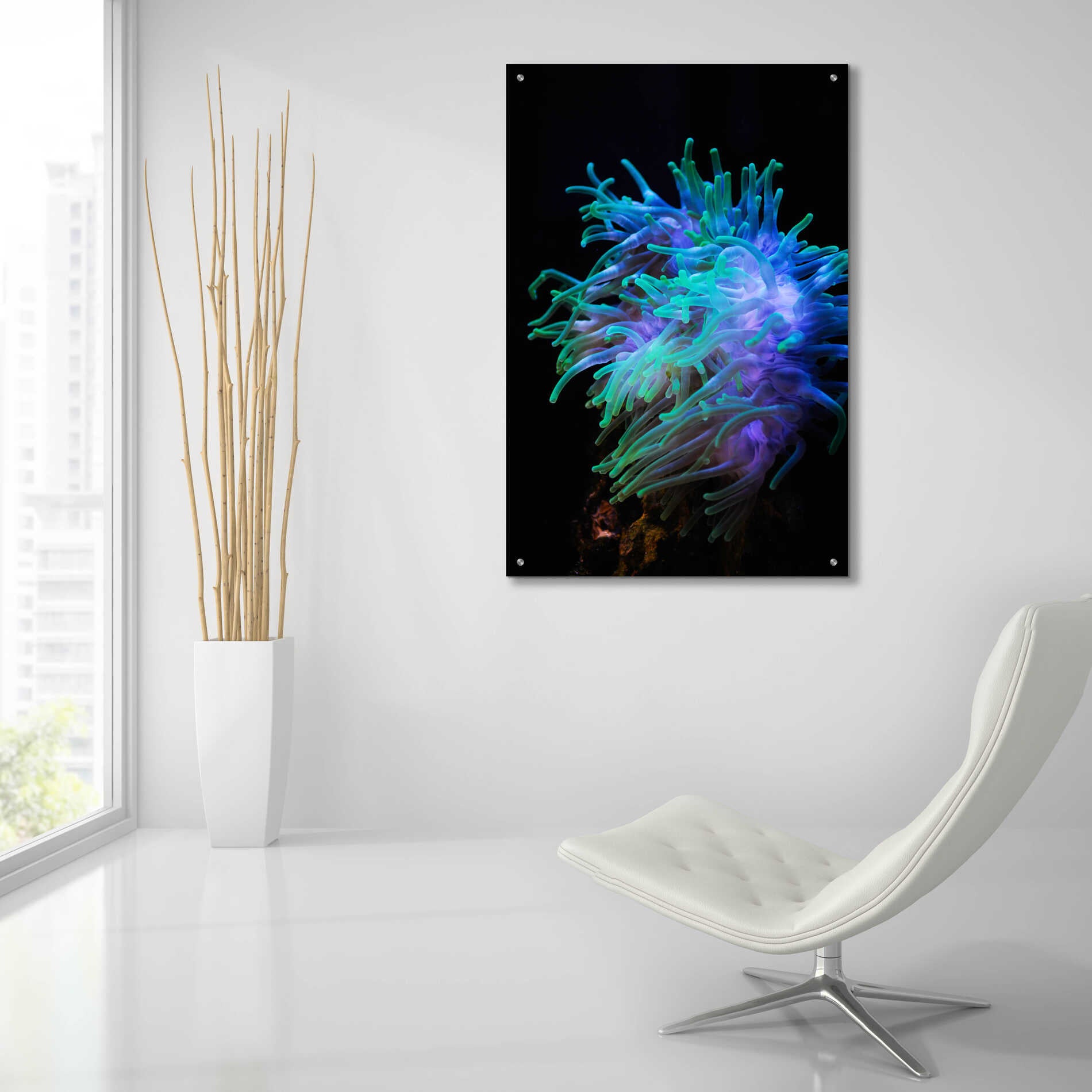 Epic Art 'Actinia' by Epic Portfolio Acrylic Glass Wall Art,24x36