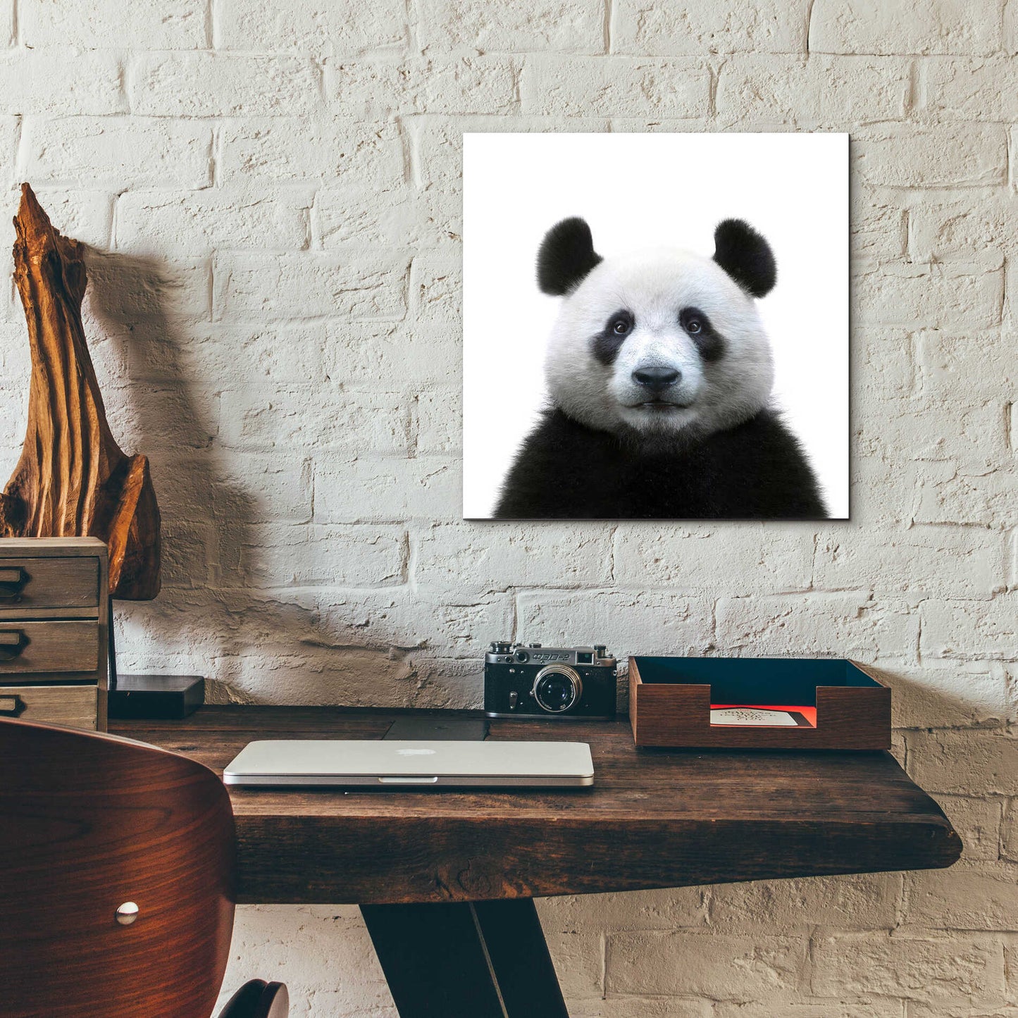 Epic Art 'Bamboo Bear' by Epic Portfolio Acrylic Glass Wall Art,12x12