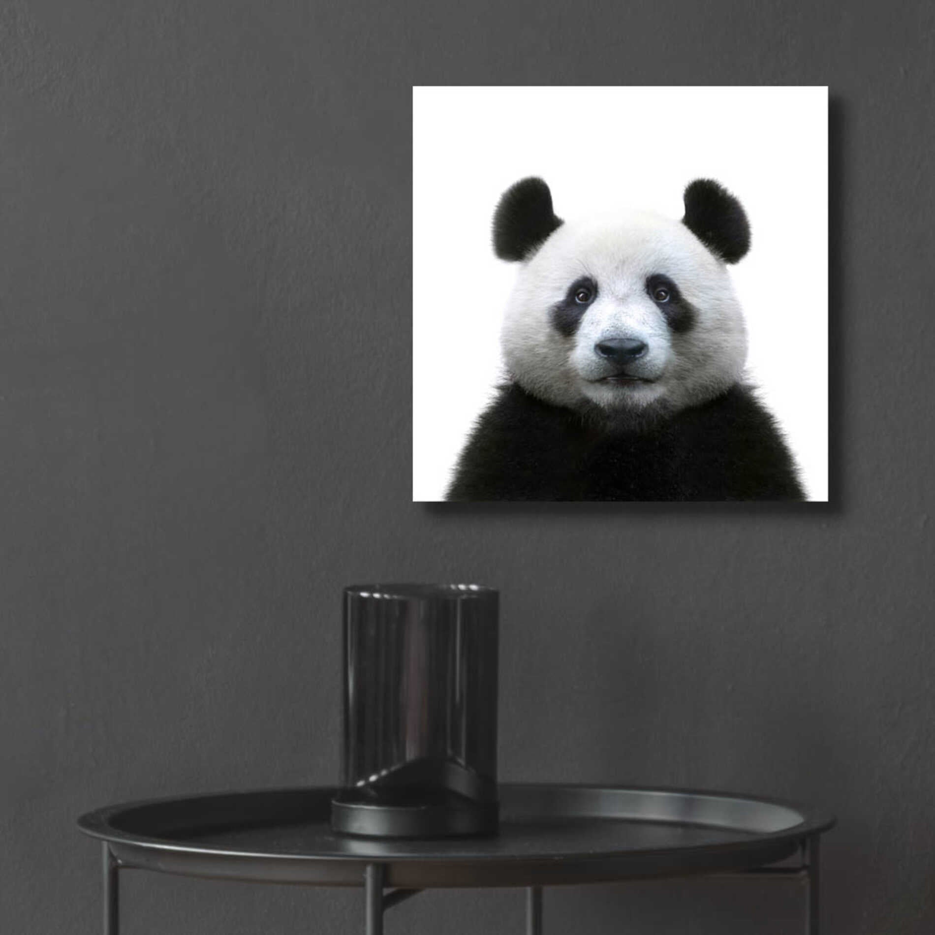 Epic Art 'Bamboo Bear' by Epic Portfolio Acrylic Glass Wall Art,12x12