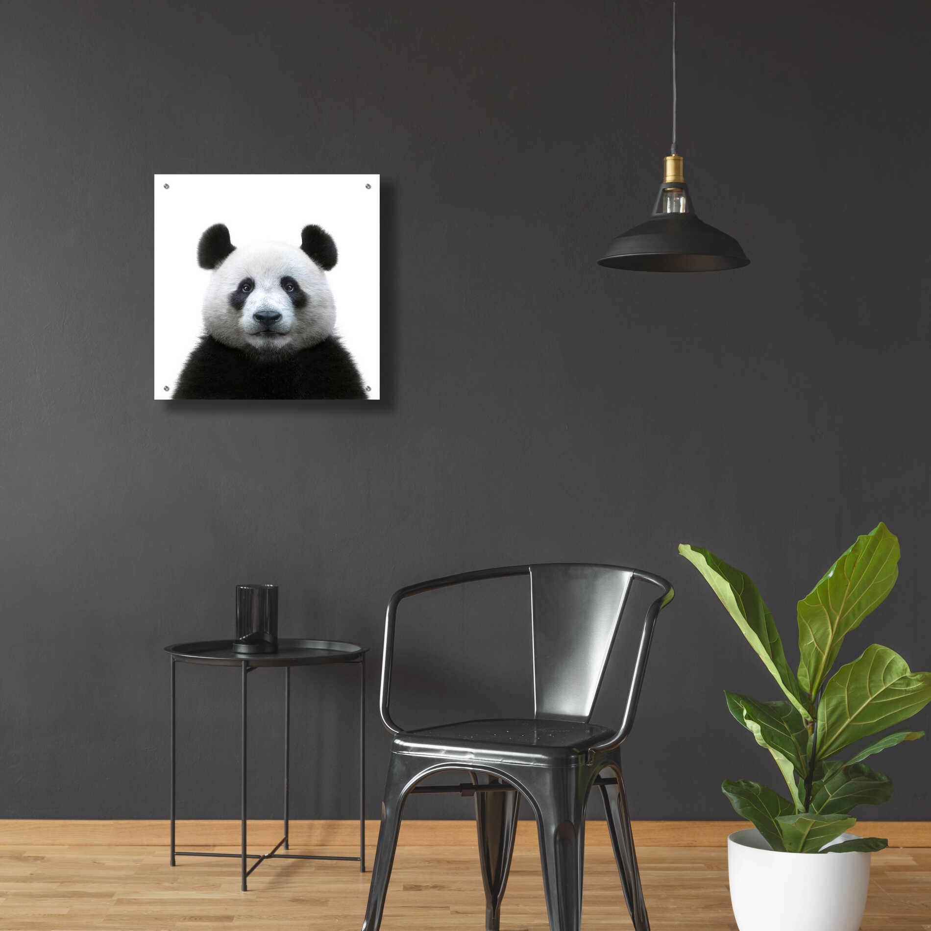 Epic Art 'Bamboo Bear' by Epic Portfolio Acrylic Glass Wall Art,24x24