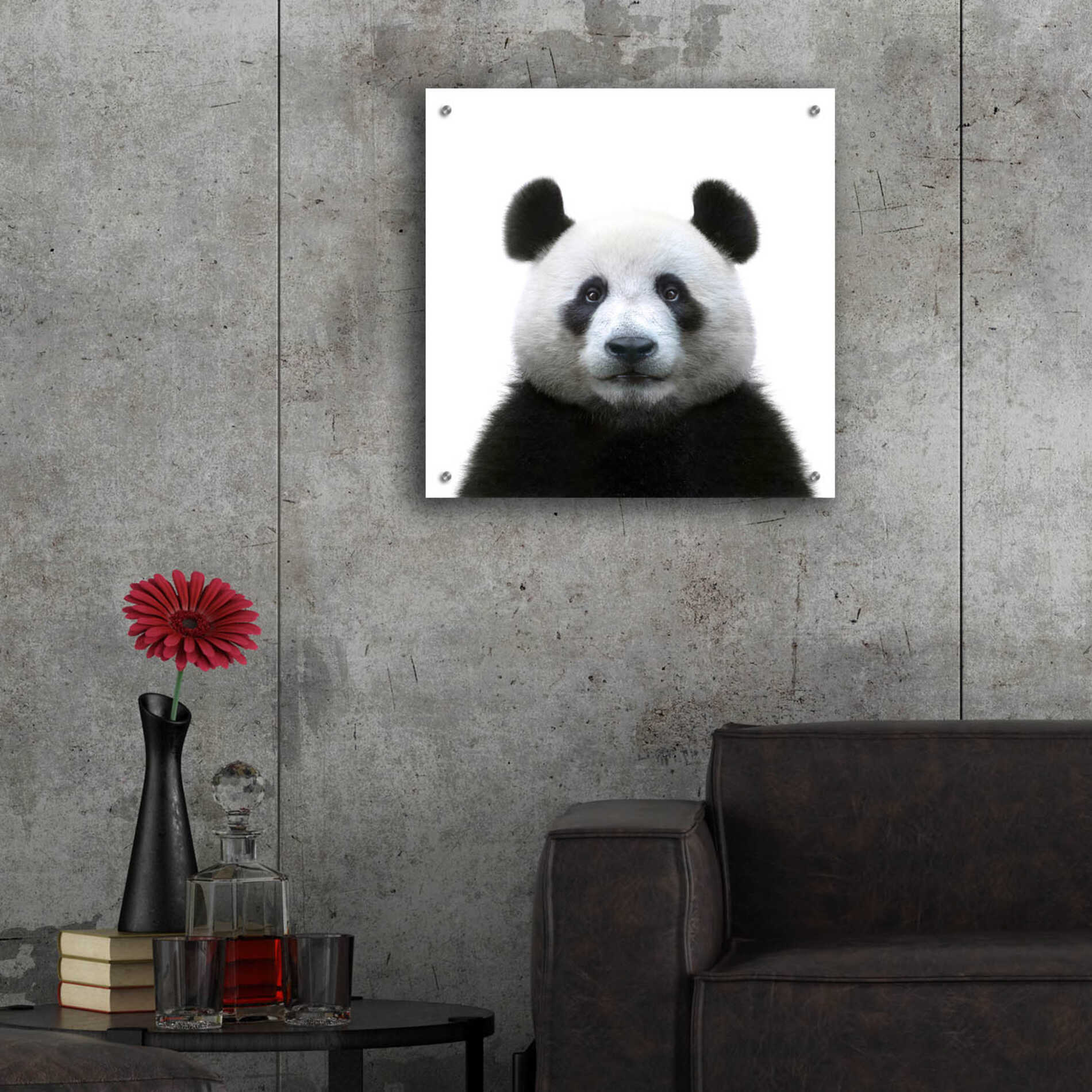 Epic Art 'Bamboo Bear' by Epic Portfolio Acrylic Glass Wall Art,24x24