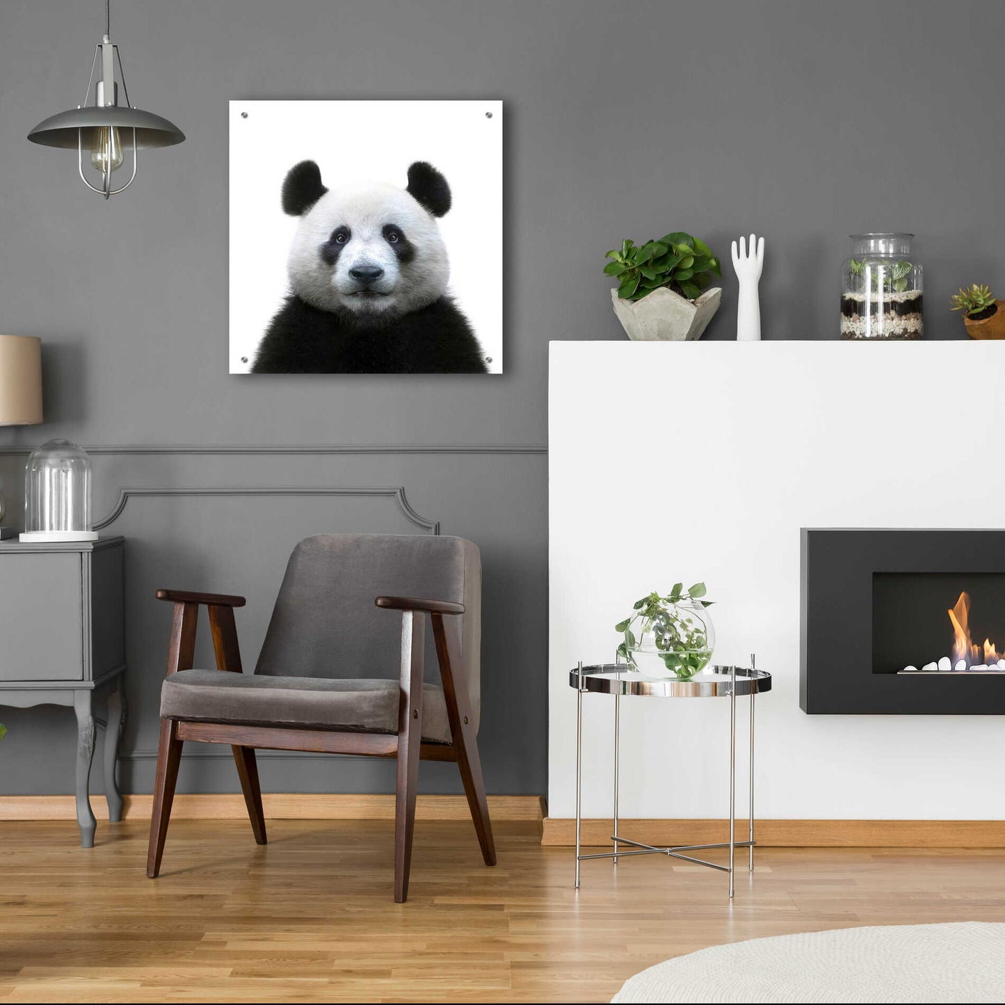 Epic Art 'Bamboo Bear' by Epic Portfolio Acrylic Glass Wall Art,24x24