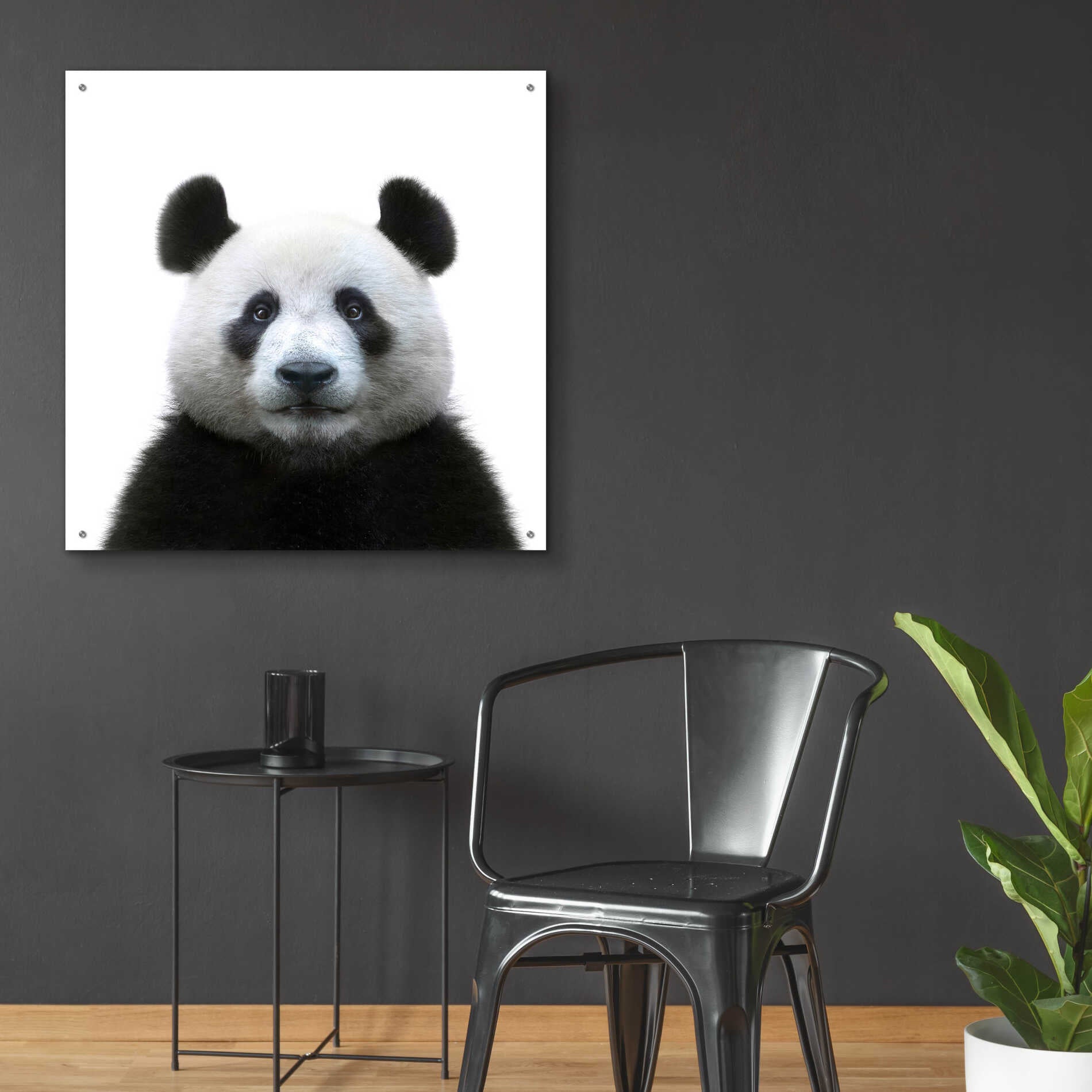 Epic Art 'Bamboo Bear' by Epic Portfolio Acrylic Glass Wall Art,36x36