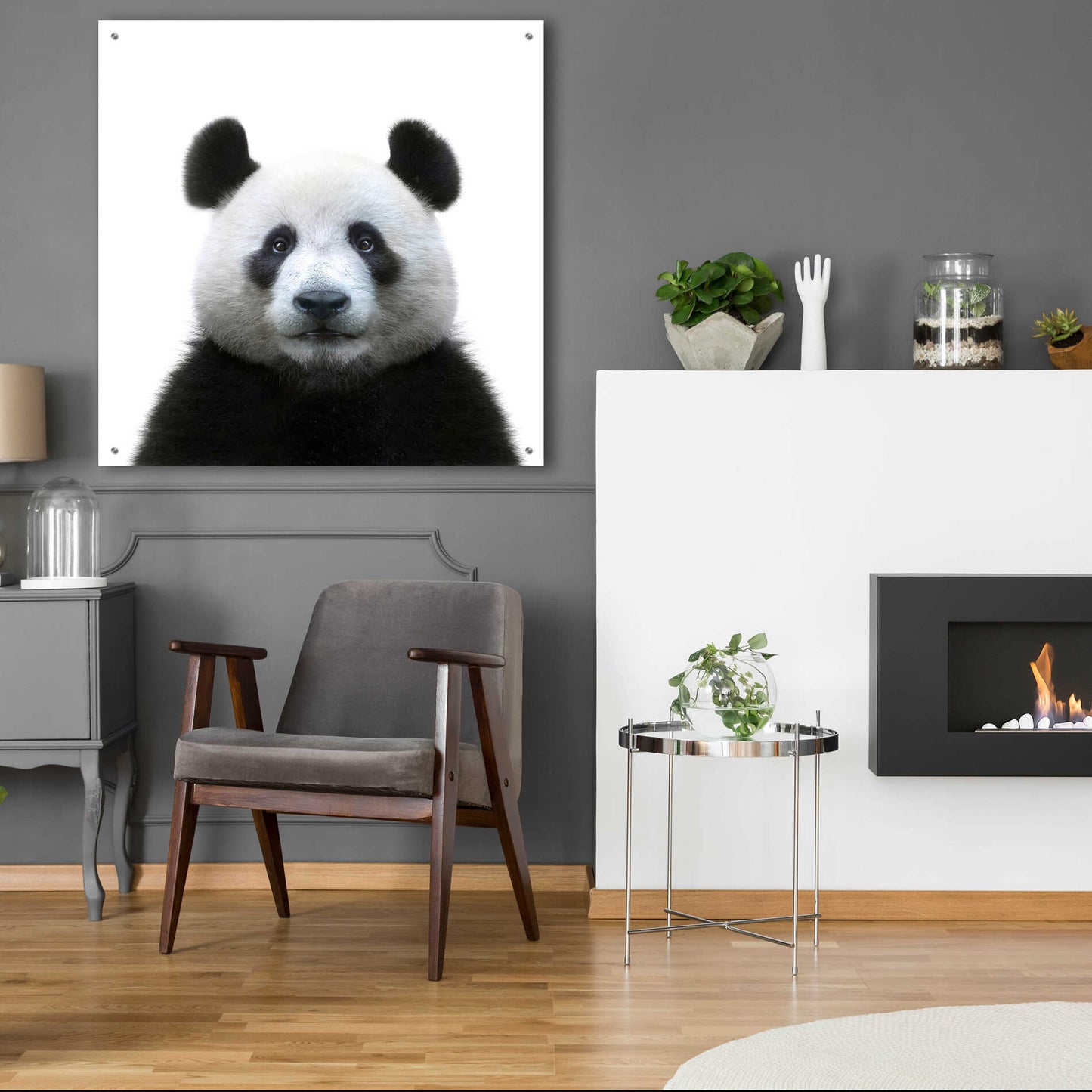 Epic Art 'Bamboo Bear' by Epic Portfolio Acrylic Glass Wall Art,36x36