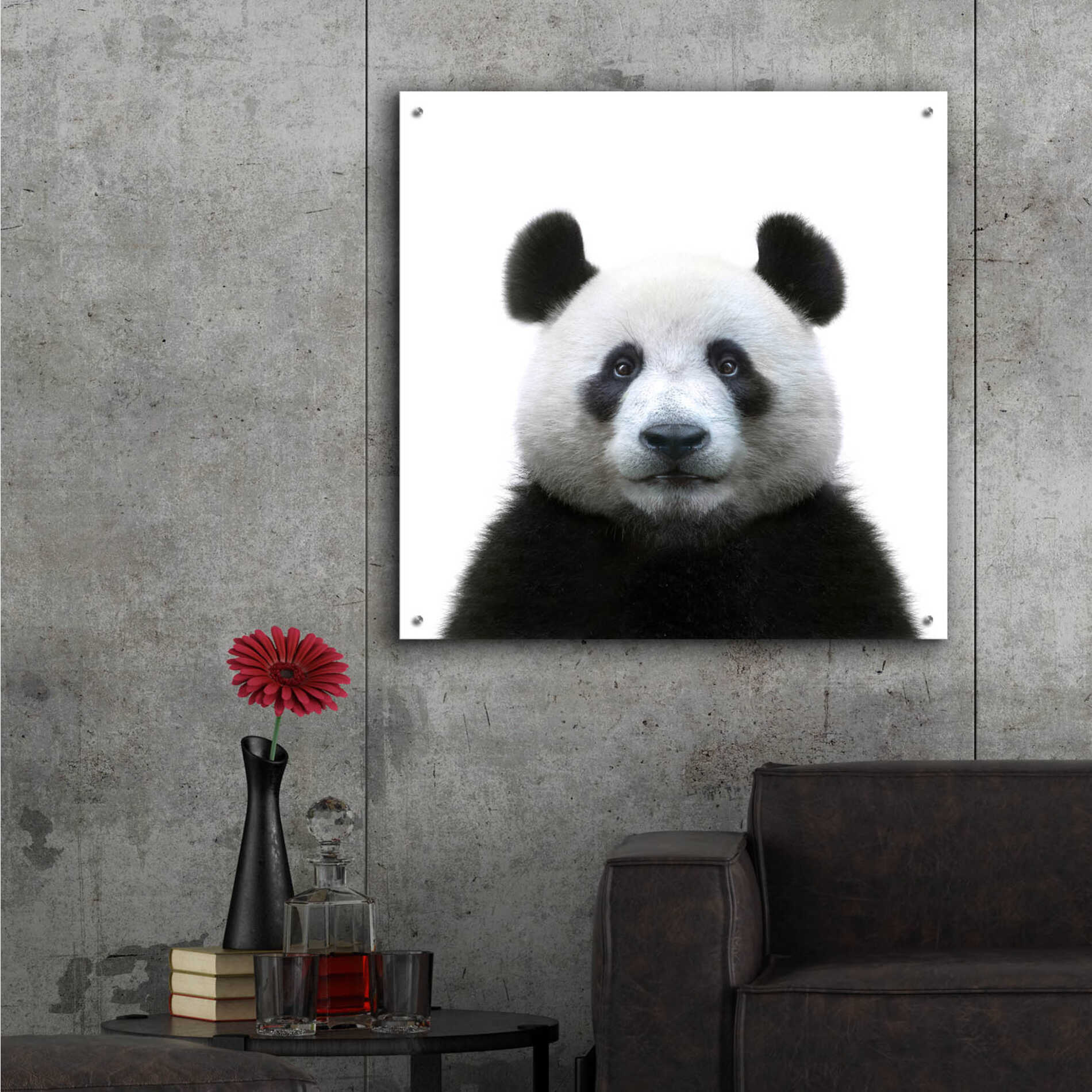 Epic Art 'Bamboo Bear' by Epic Portfolio Acrylic Glass Wall Art,36x36