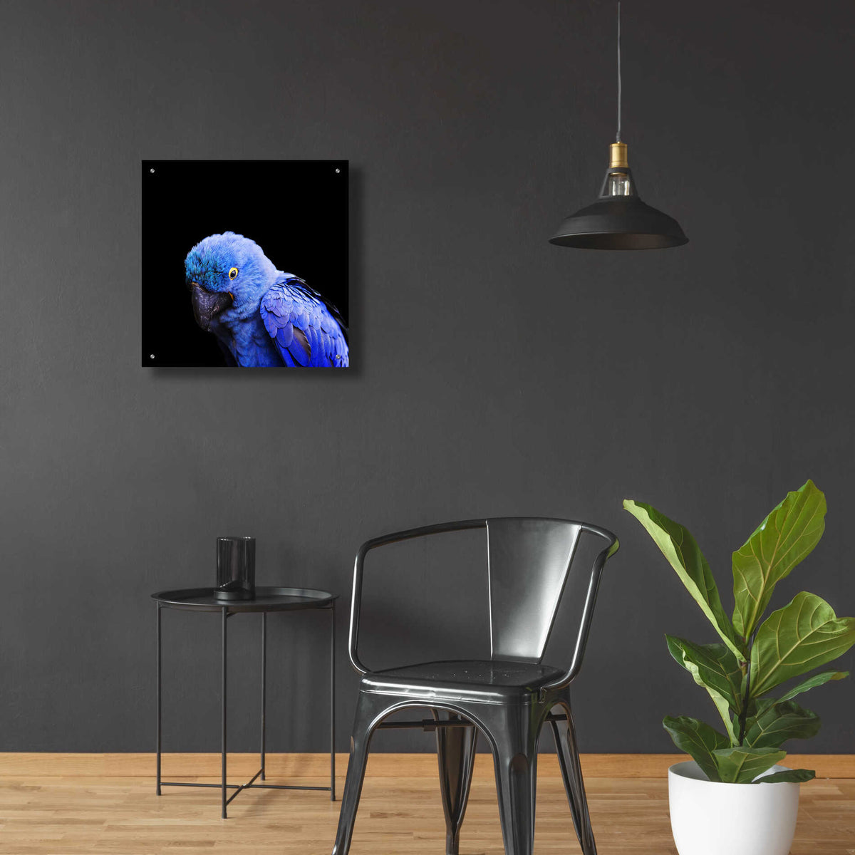 Epic Art 'Blue Quill' by Epic Portfolio Acrylic Glass Wall Art,24x24