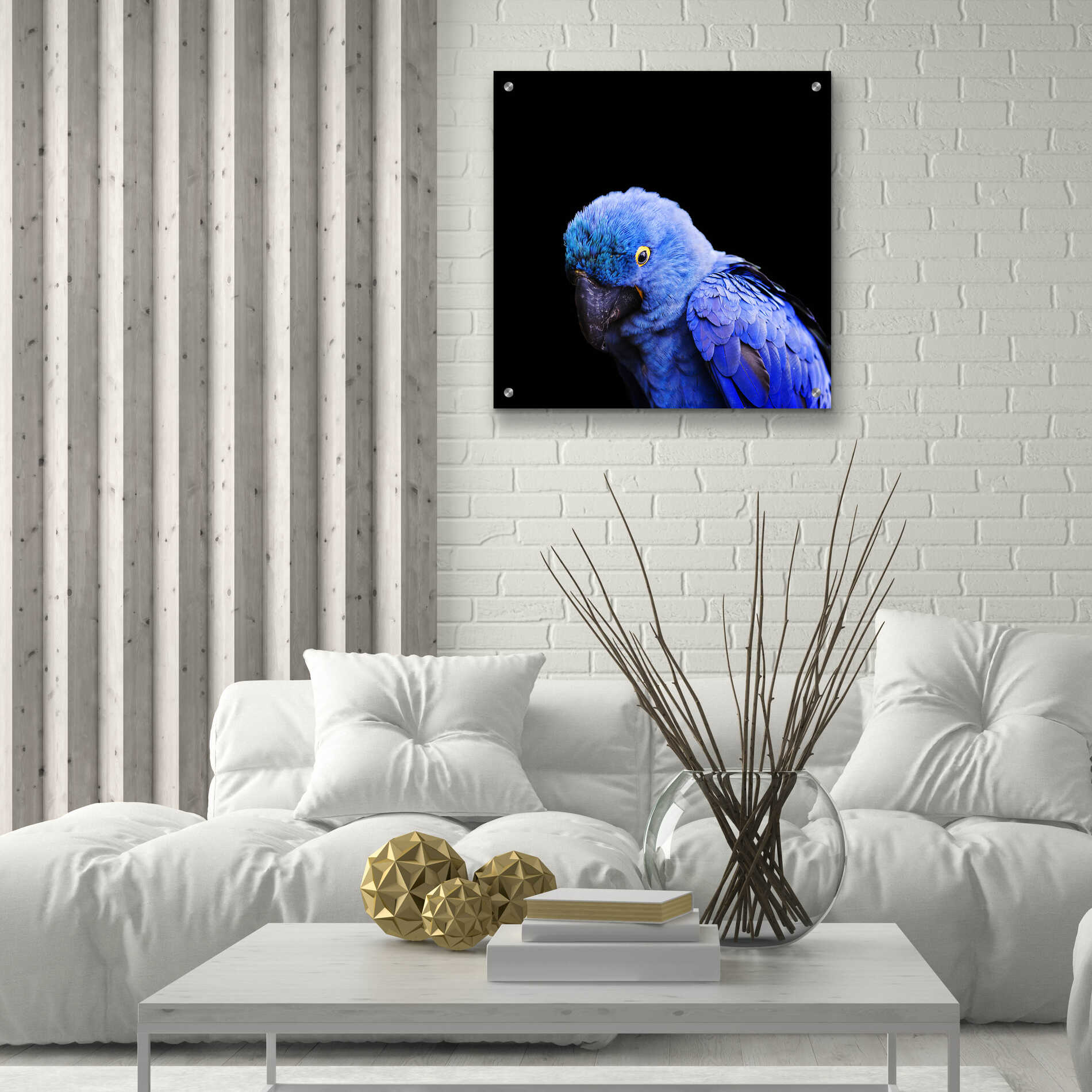 Epic Art 'Blue Quill' by Epic Portfolio Acrylic Glass Wall Art,24x24