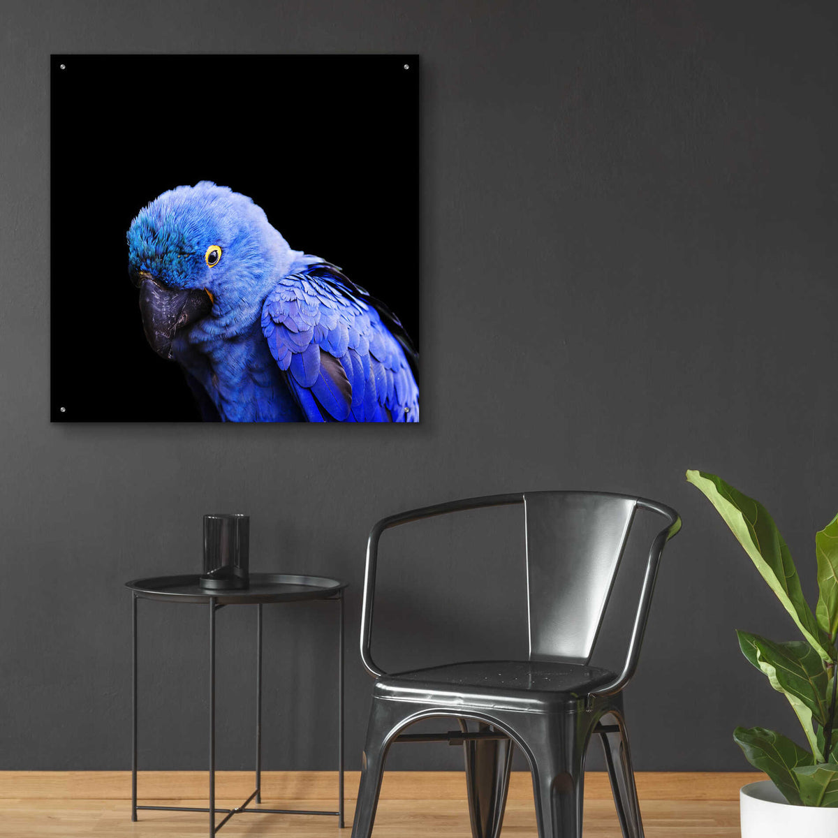 Epic Art 'Blue Quill' by Epic Portfolio Acrylic Glass Wall Art,36x36