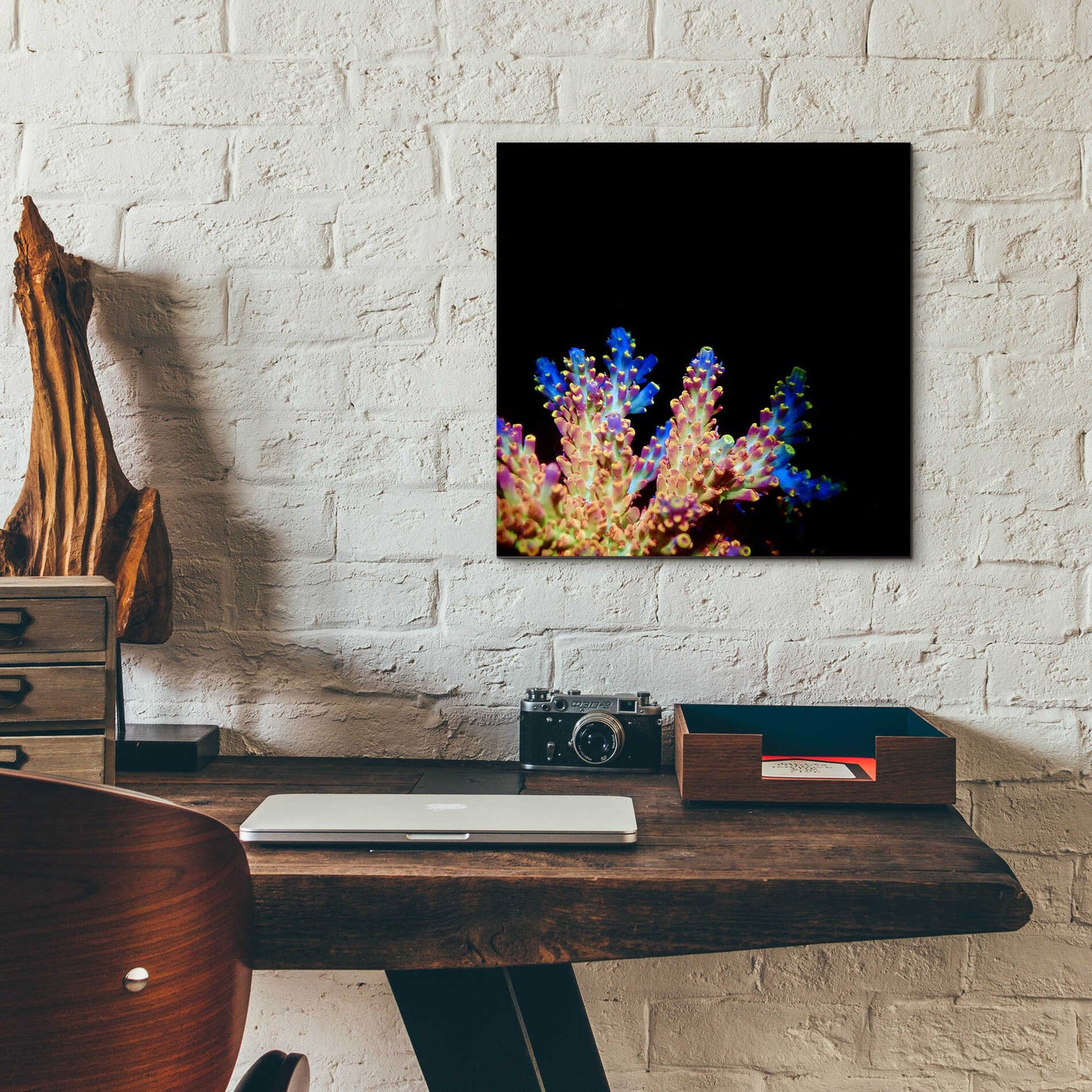 Epic Art 'Coral Reef' by Epic Portfolio Acrylic Glass Wall Art,12x12