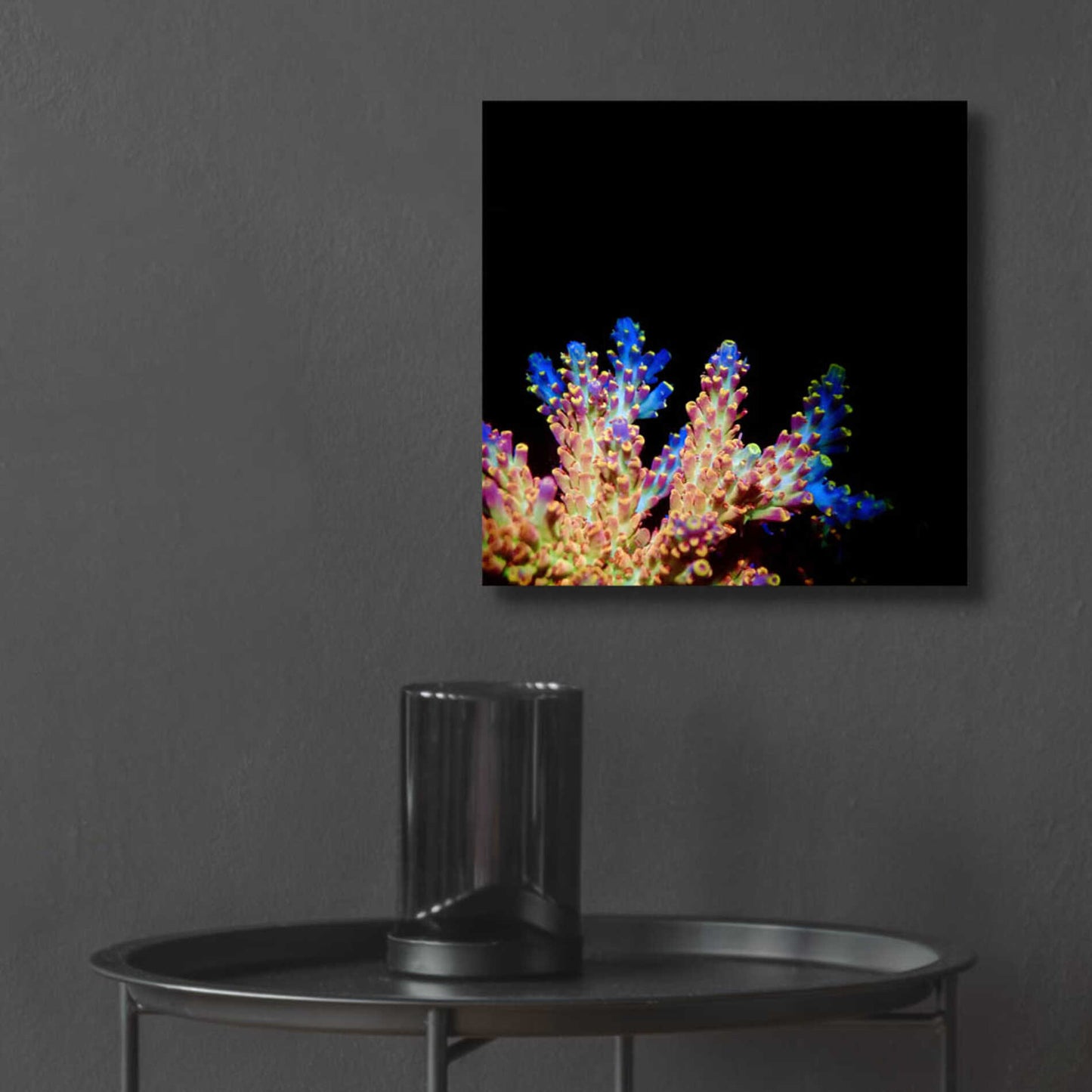 Epic Art 'Coral Reef' by Epic Portfolio Acrylic Glass Wall Art,12x12