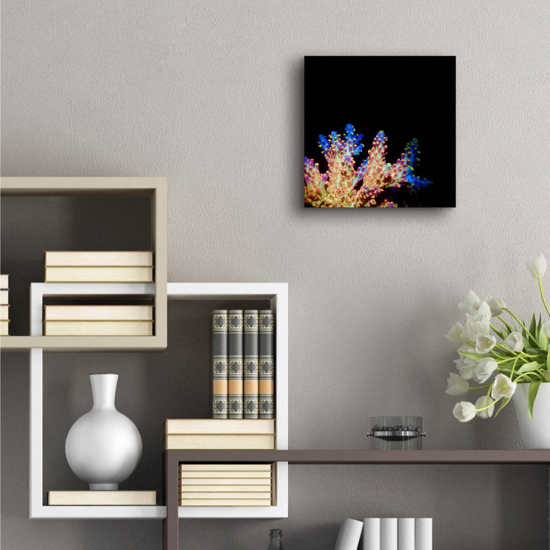 Epic Art 'Coral Reef' by Epic Portfolio Acrylic Glass Wall Art,12x12